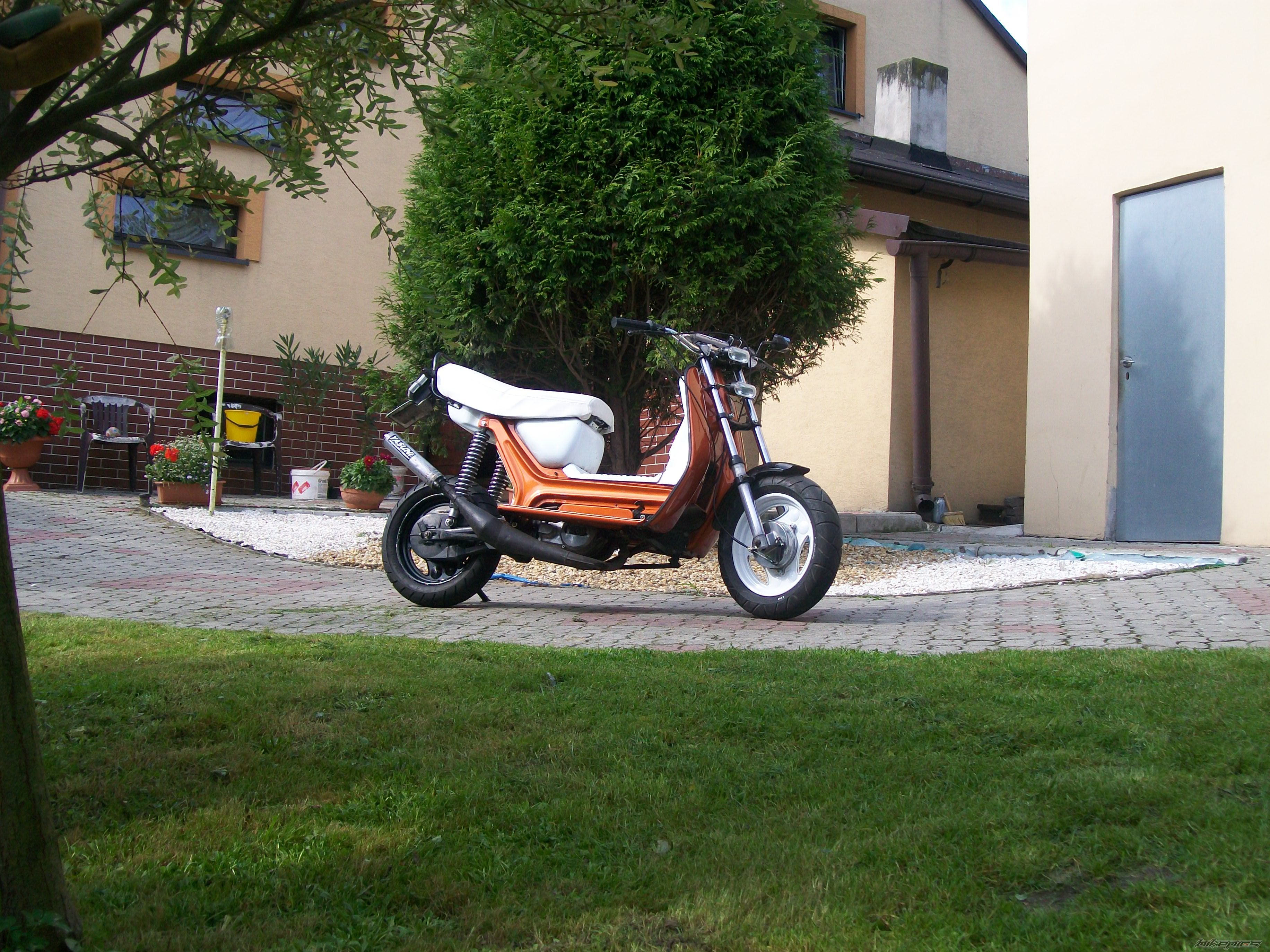 Photo 2273357