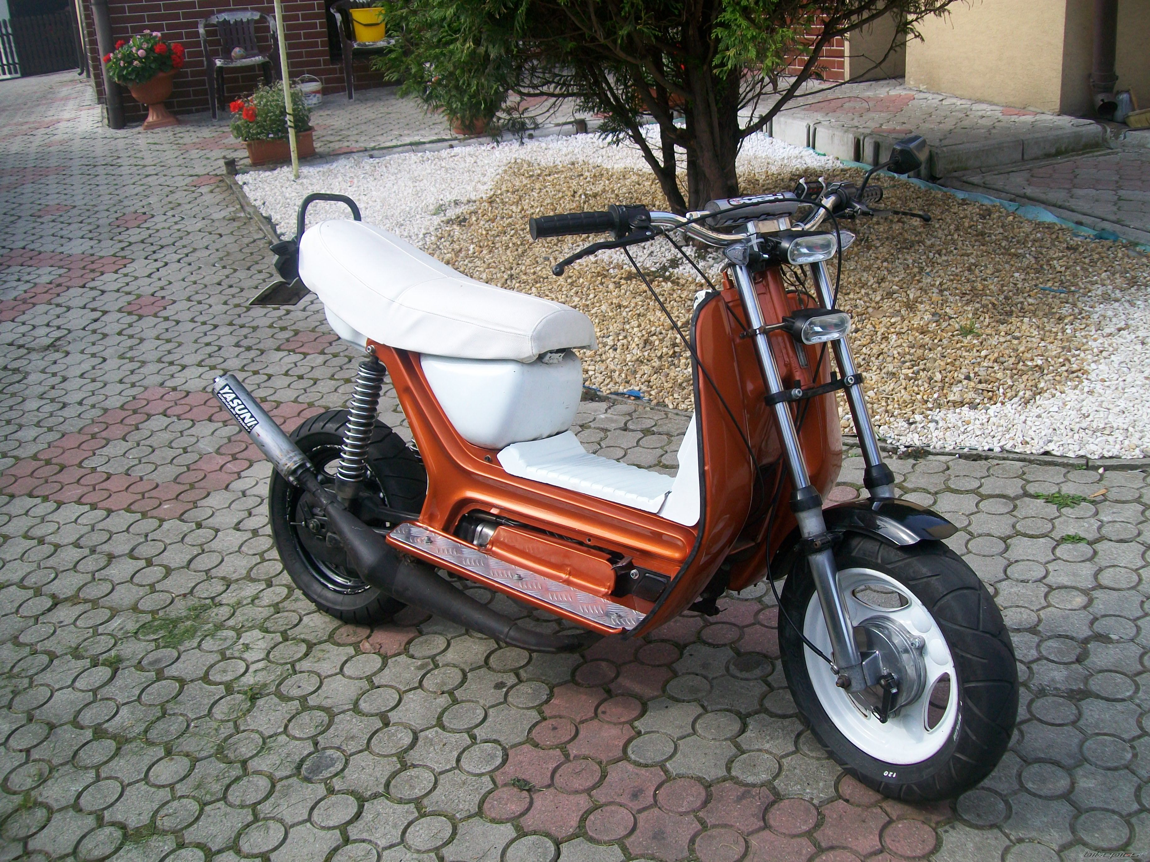 Photo 2273360