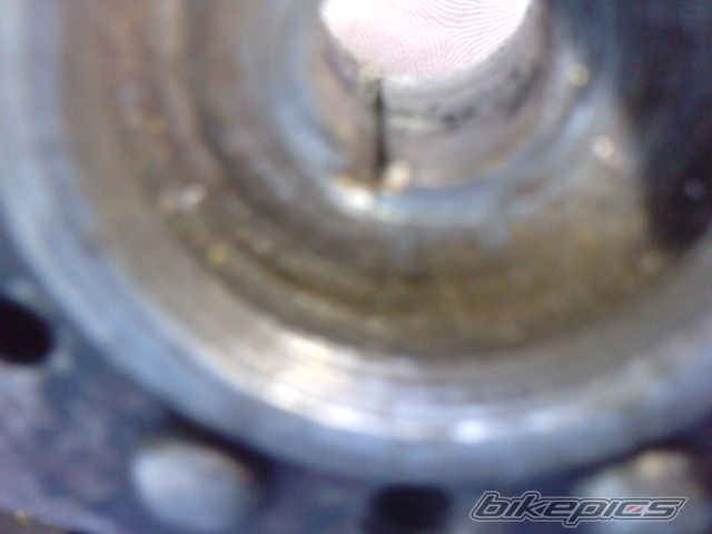 Photo 2273406