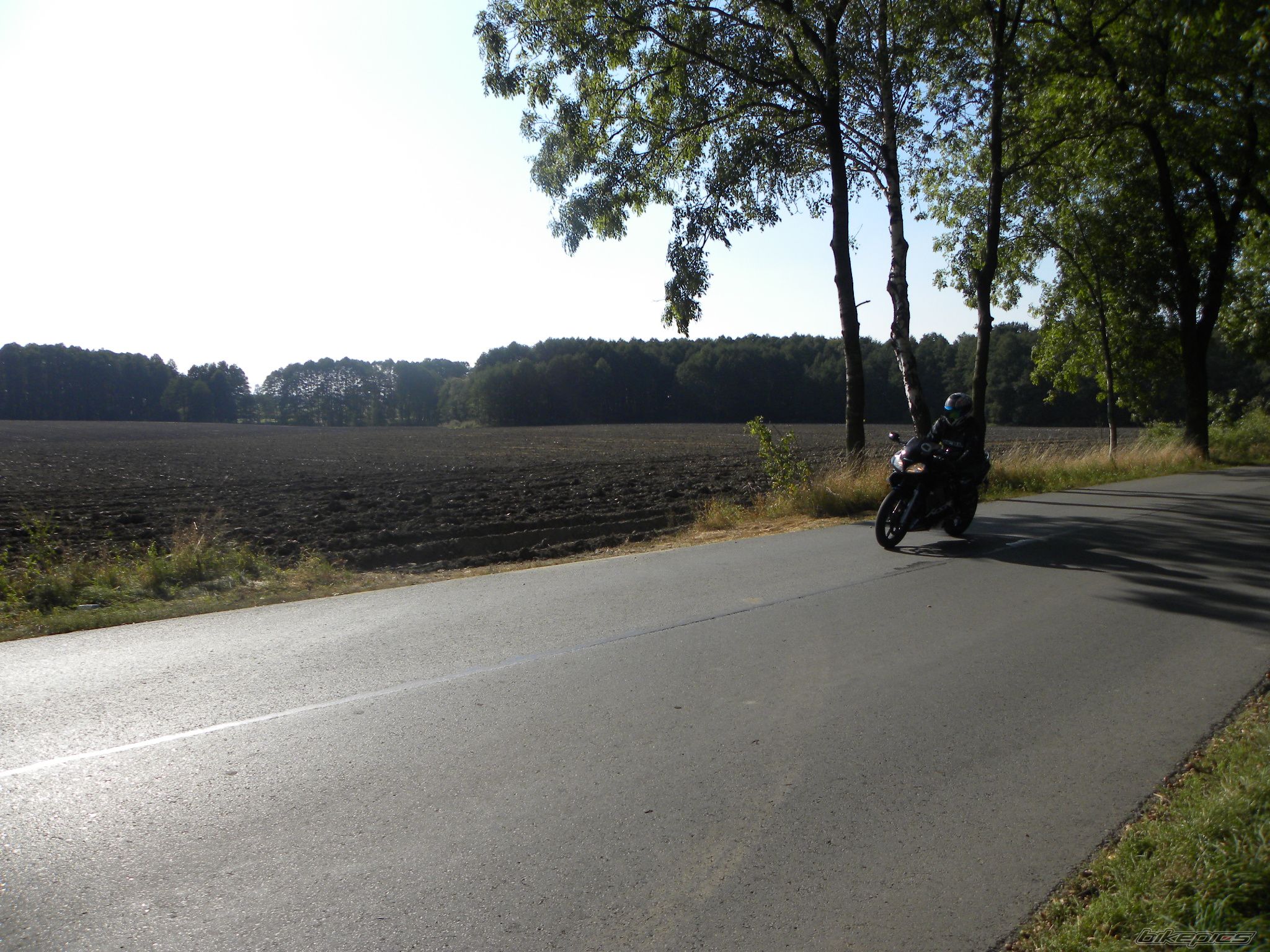 Photo 2273675