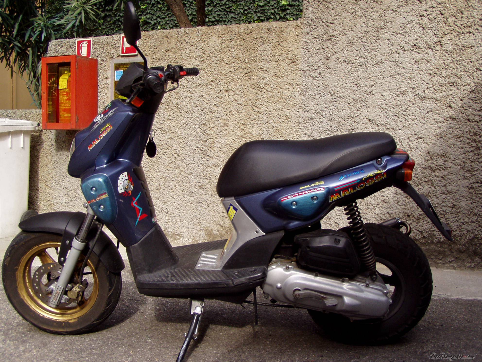 Photo 227376