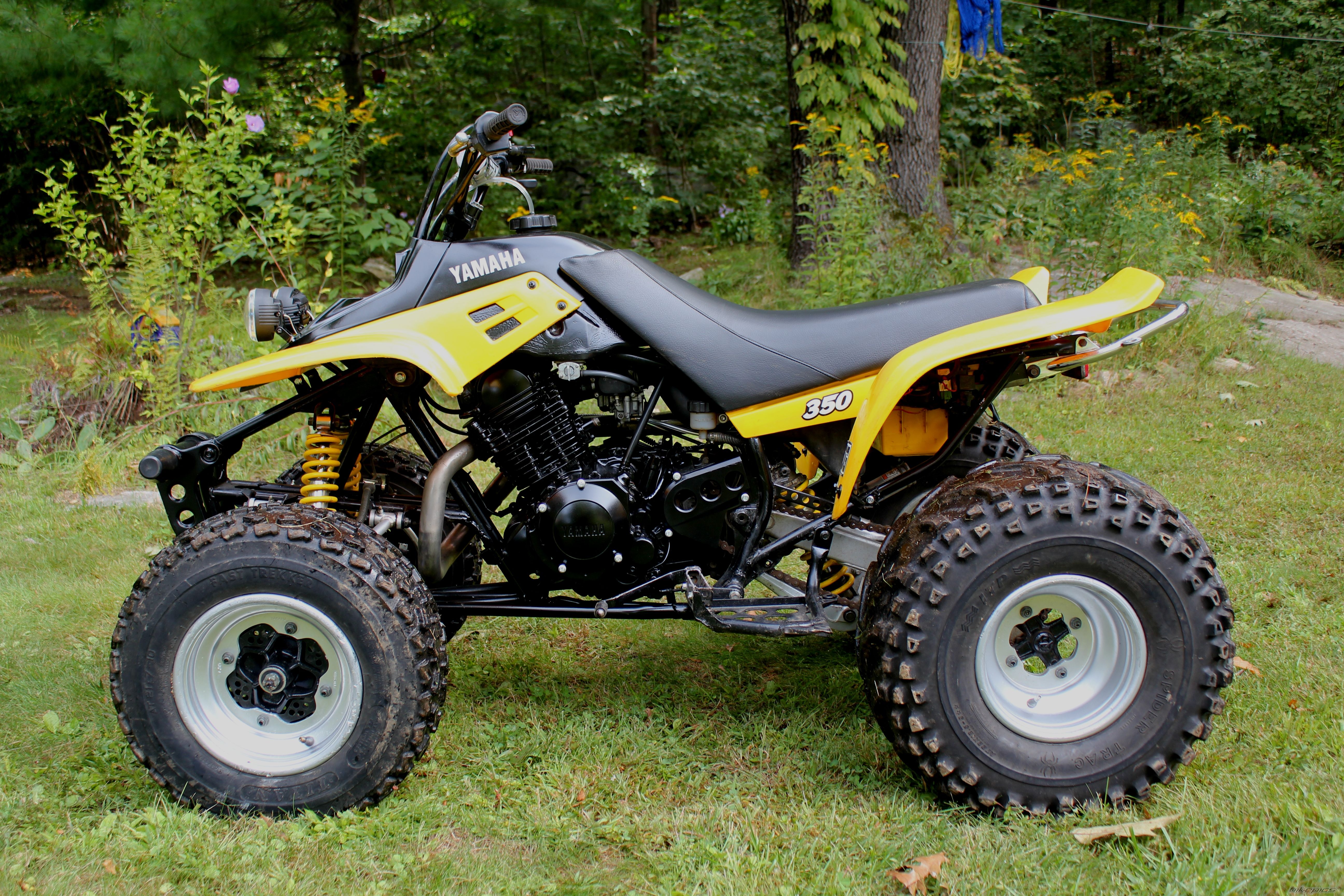 Photo 2273760