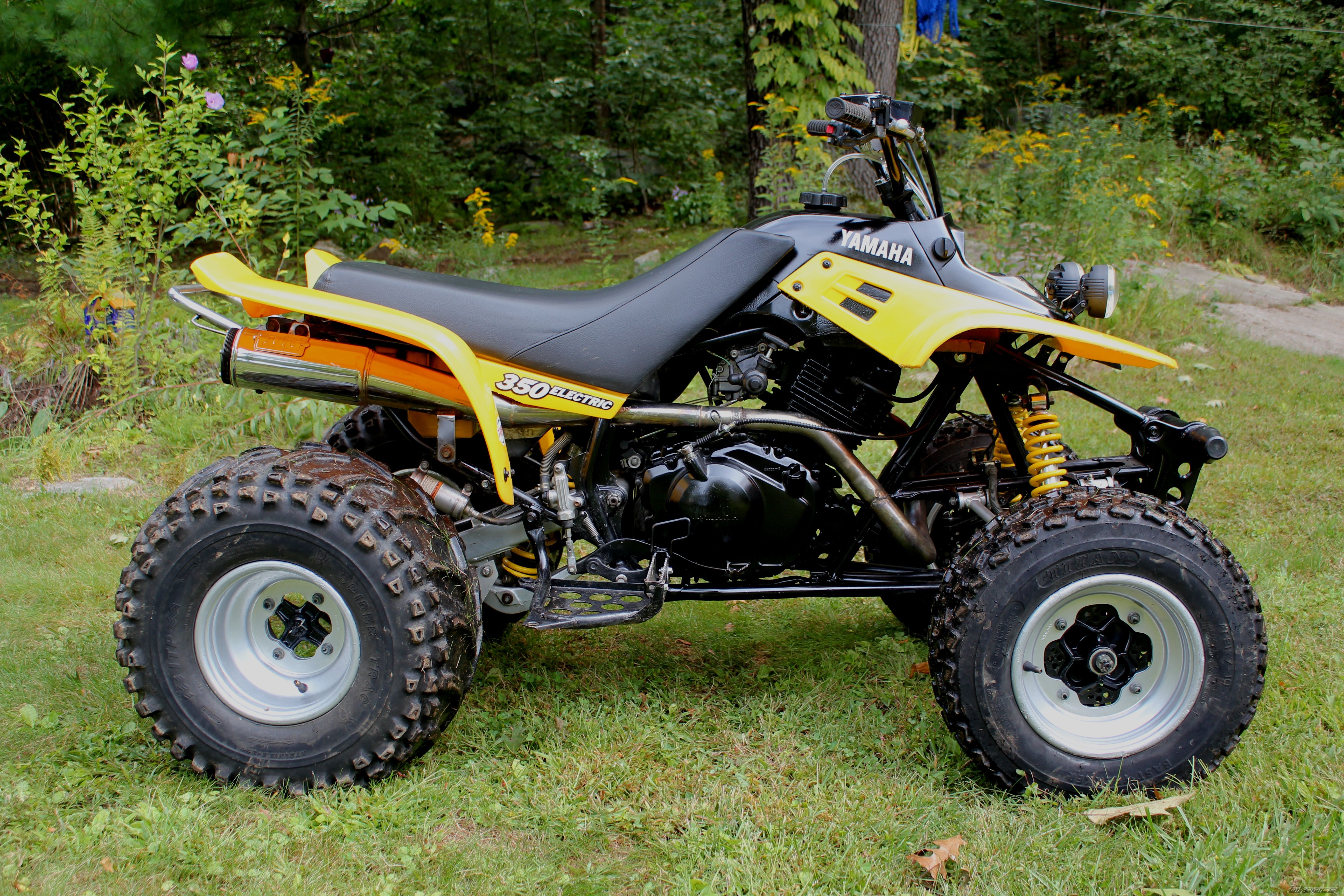 Photo 2273761