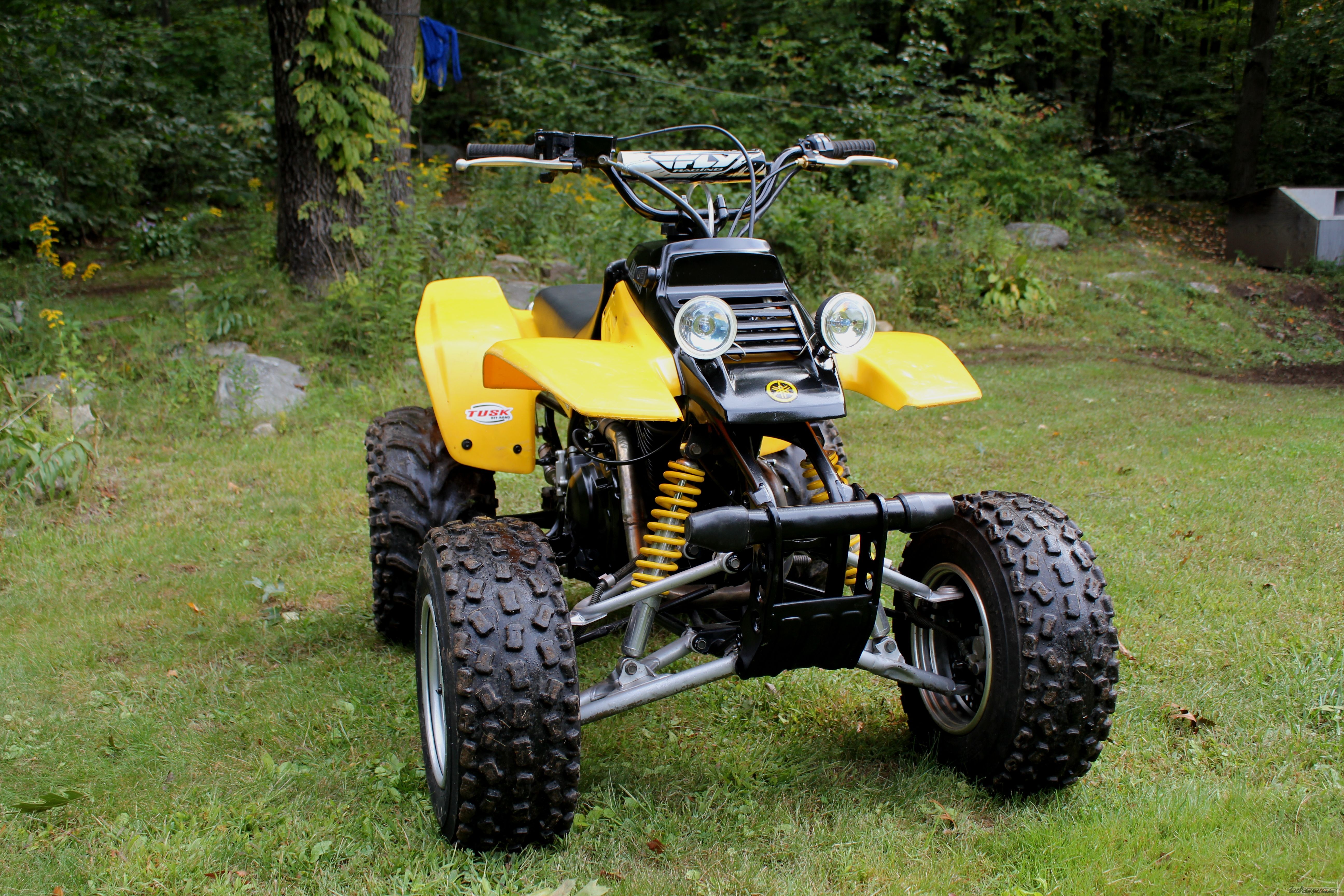 Photo 2273762