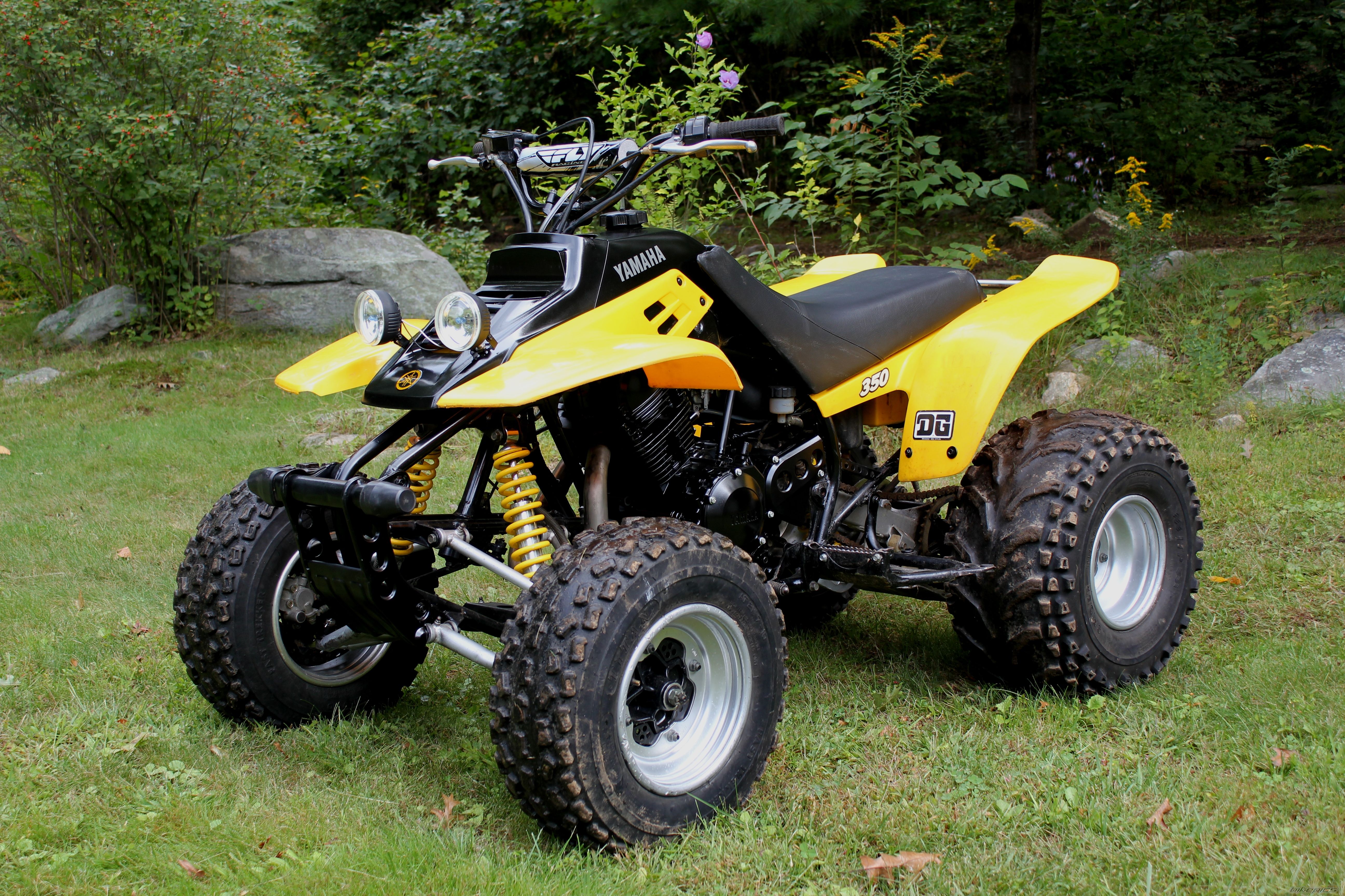 Photo 2273764