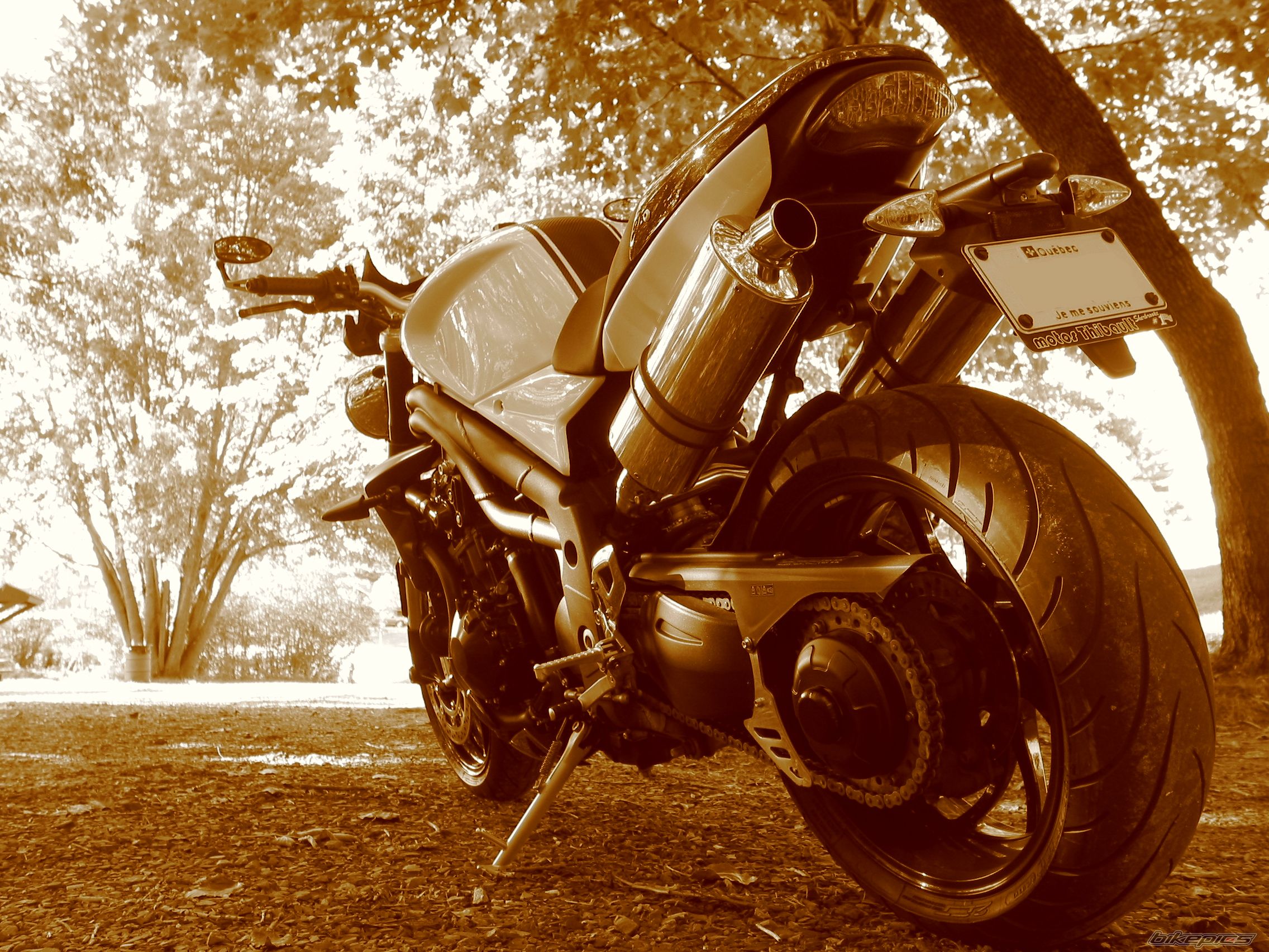 Photo 2273780