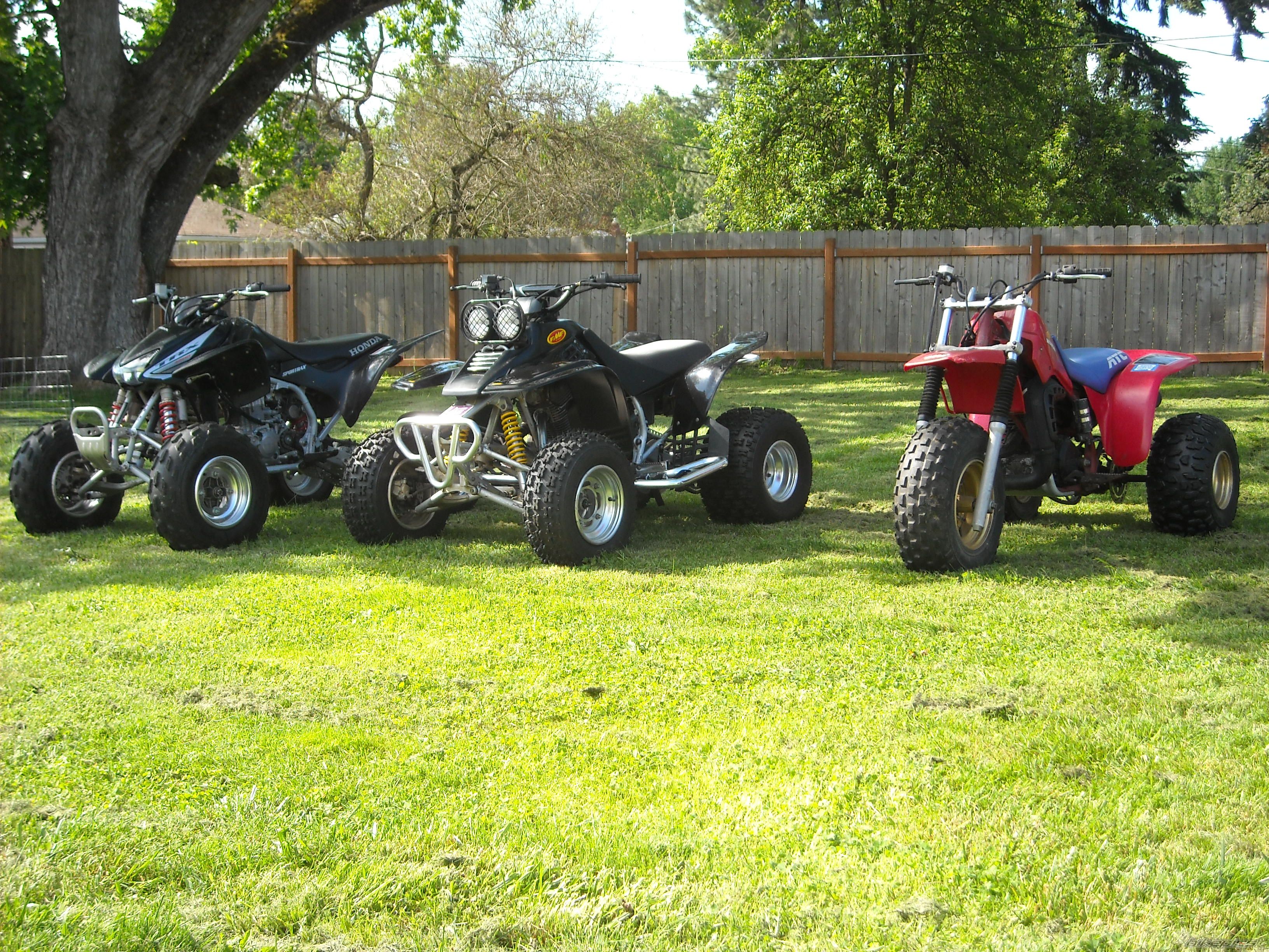 Photo 2273799