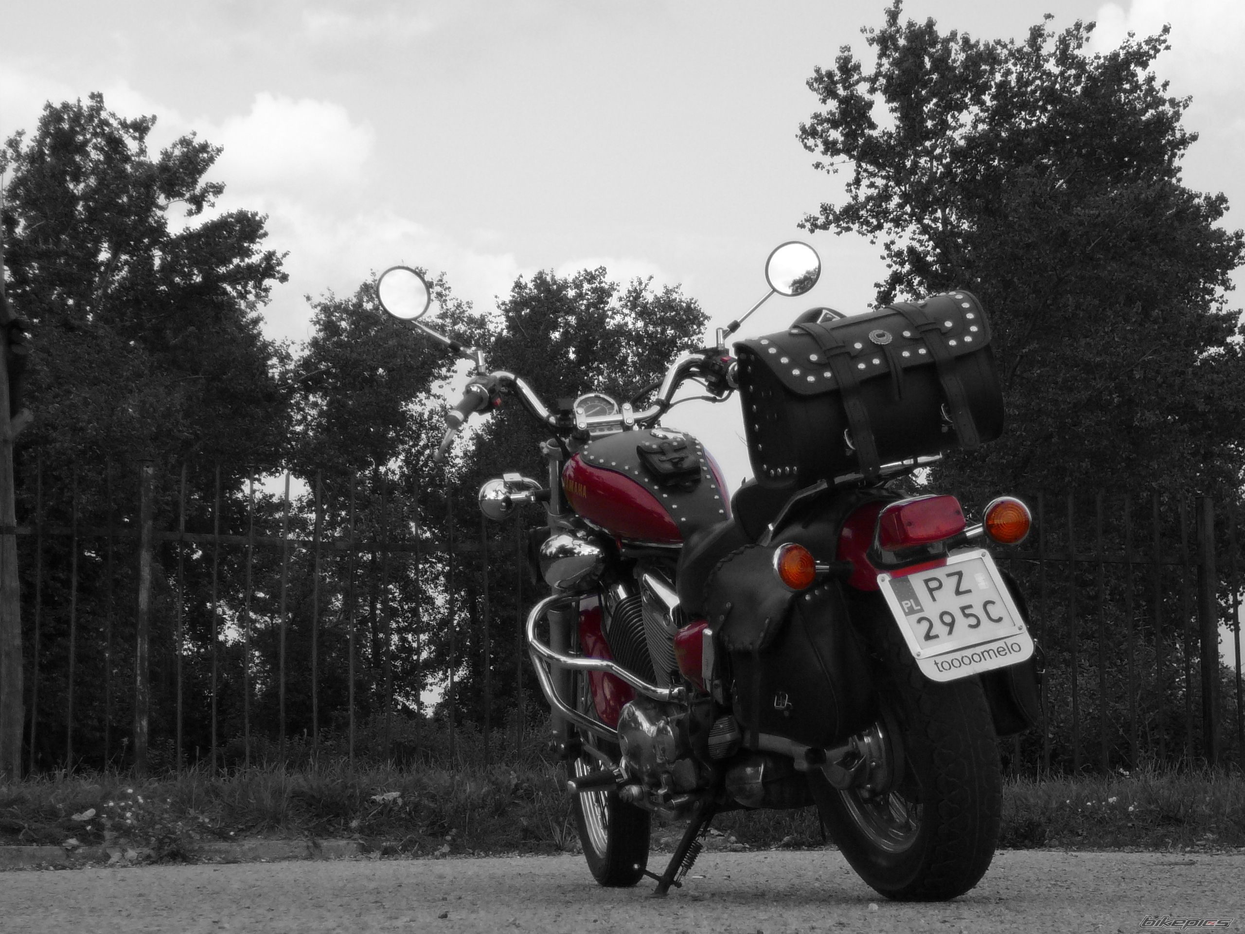 Photo 2273831