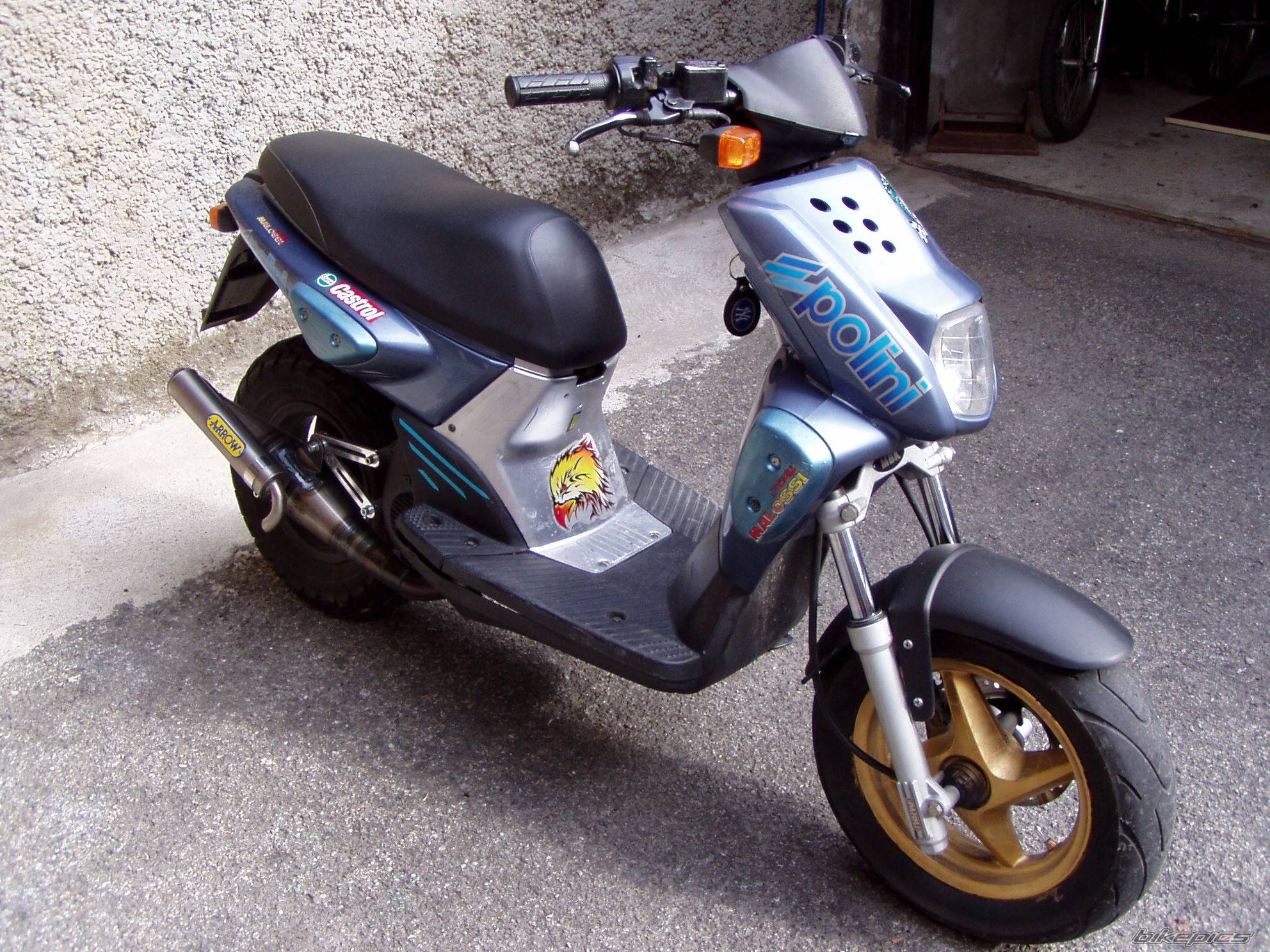 Photo 227384