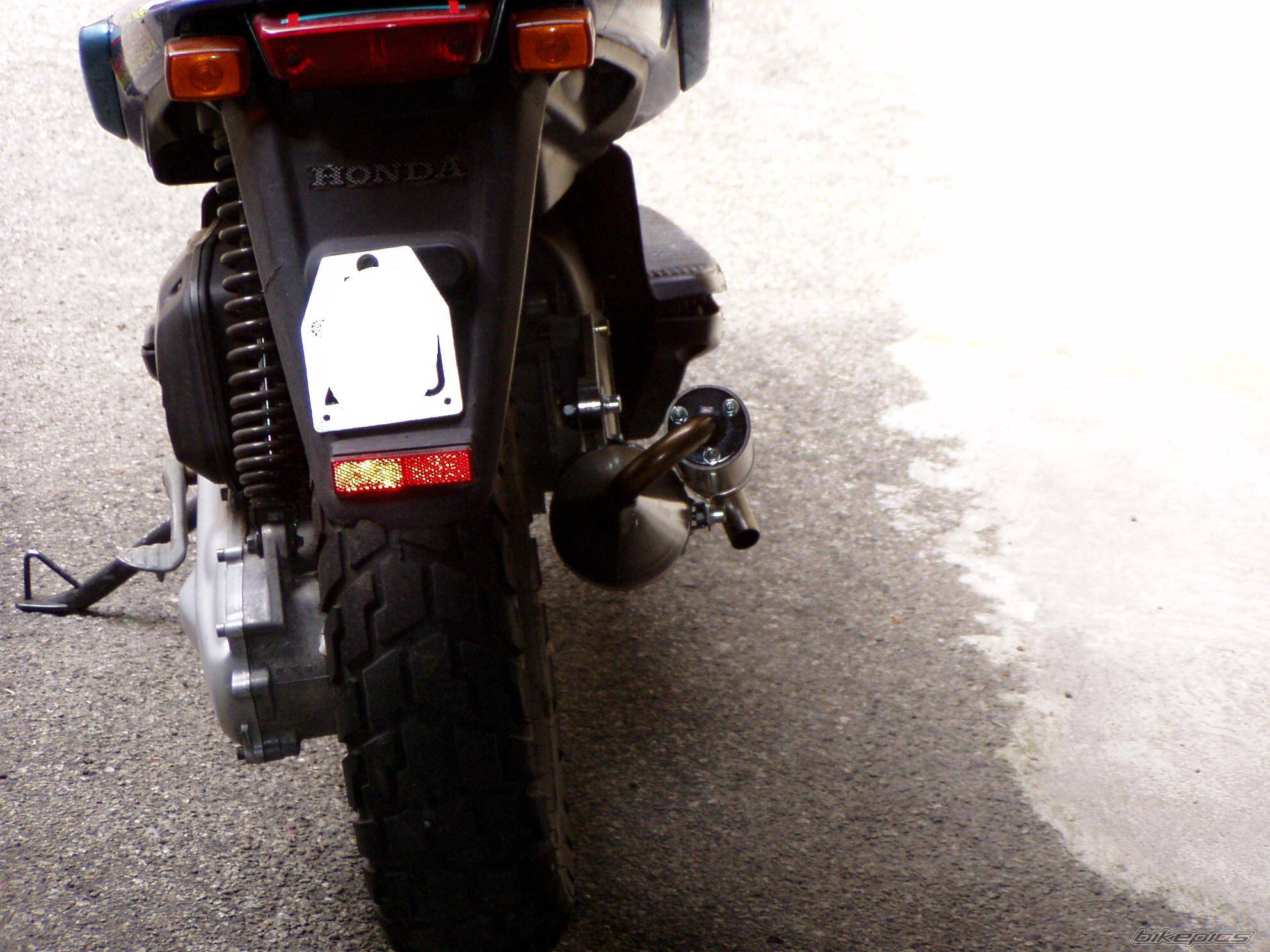 Photo 227390