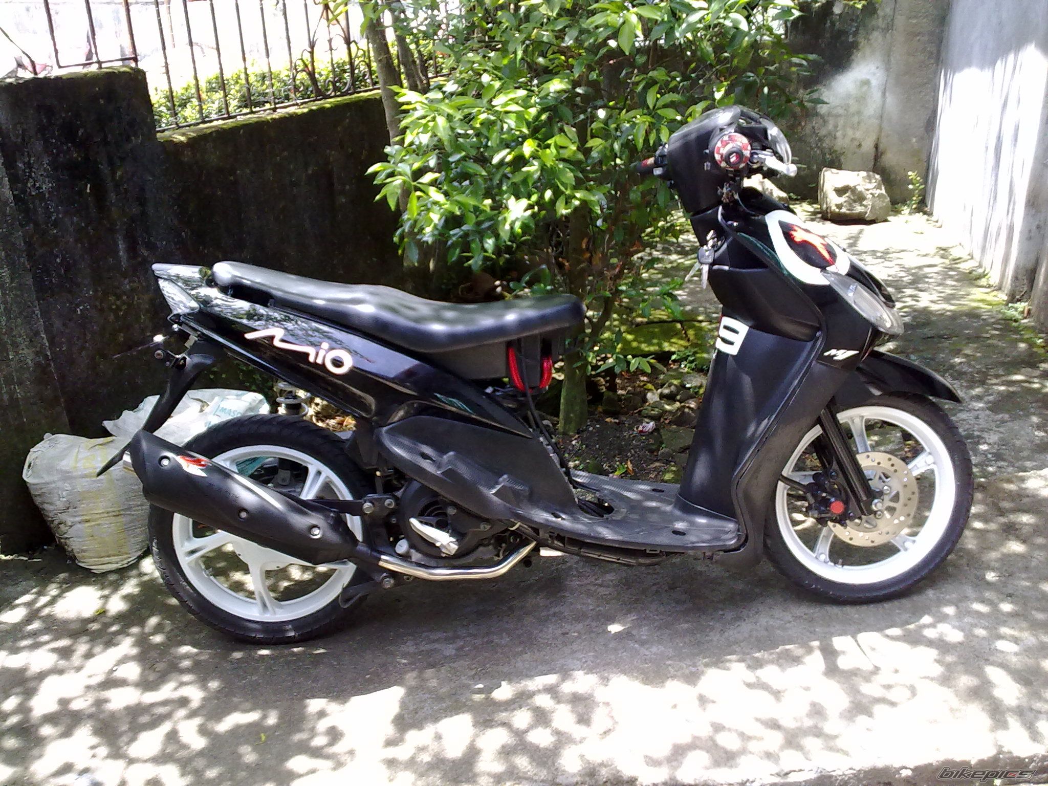 Photo 2273912