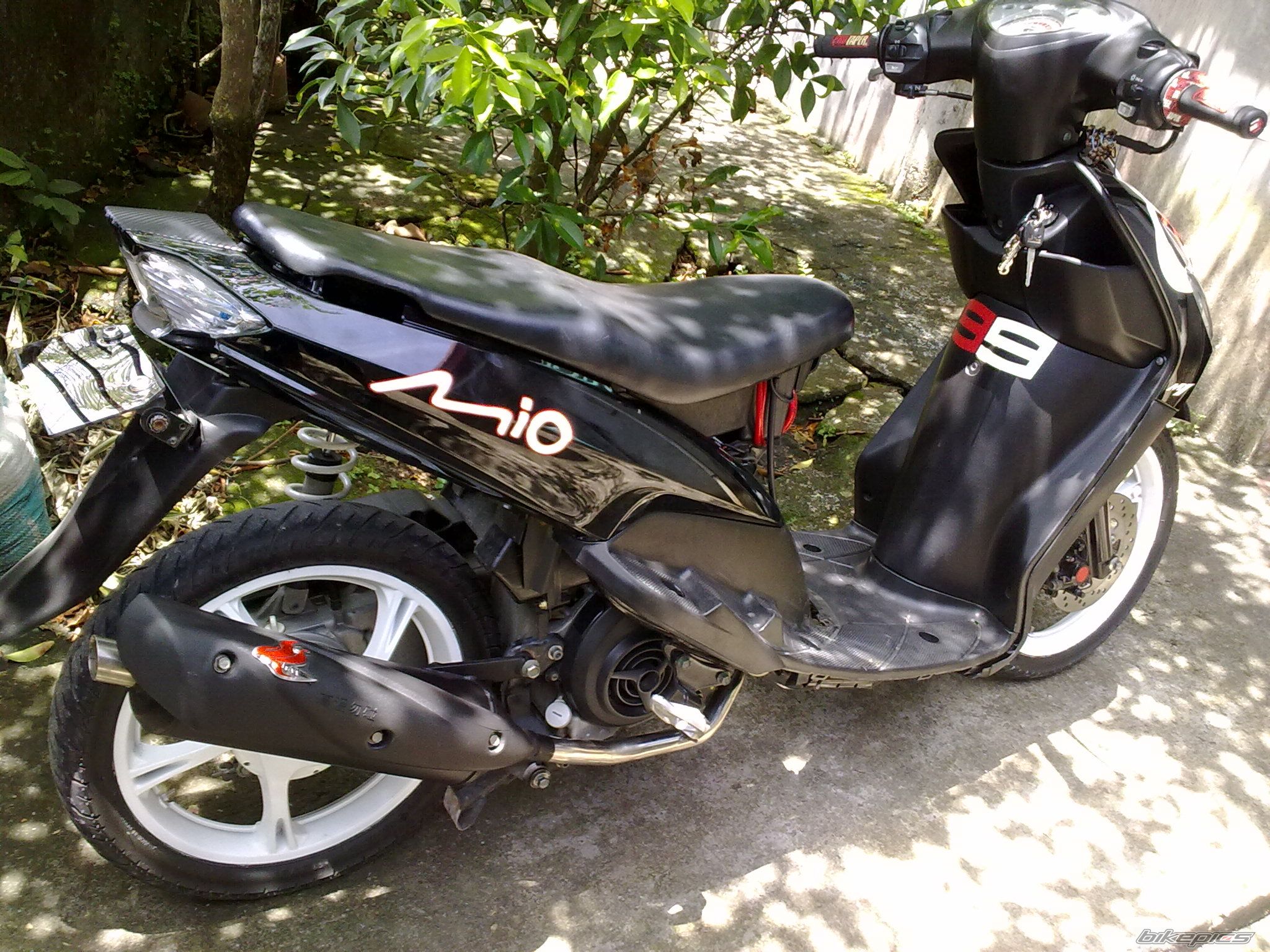 Photo 2273913