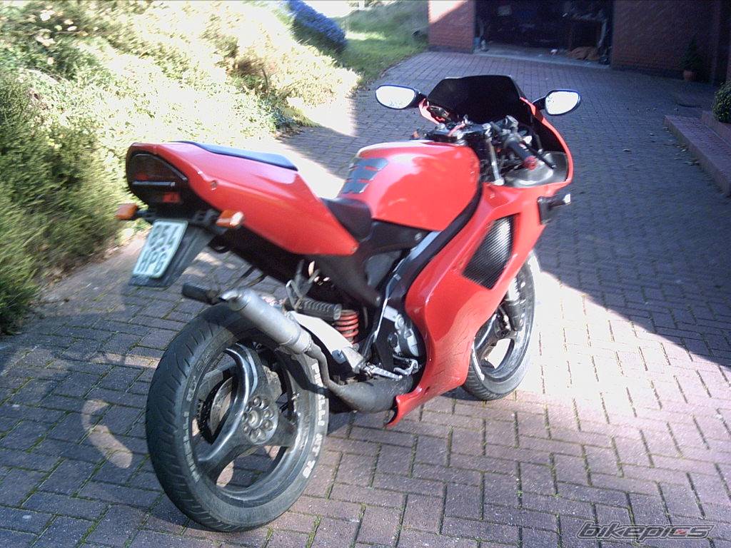 Photo 227394