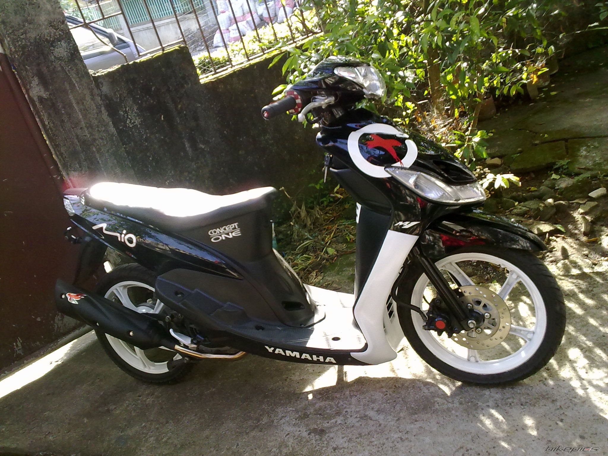 Photo 2273944