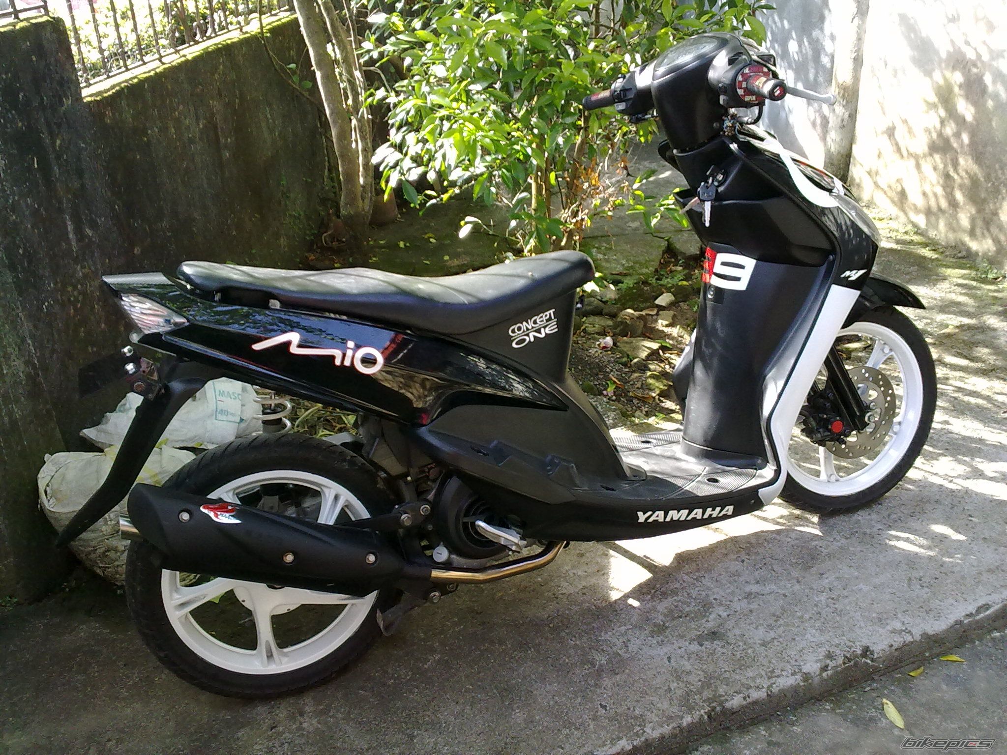 Photo 2273947