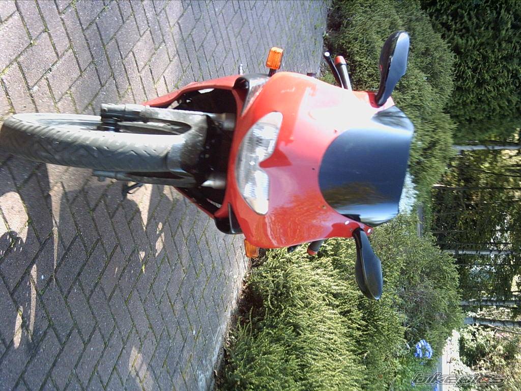 Photo 227395