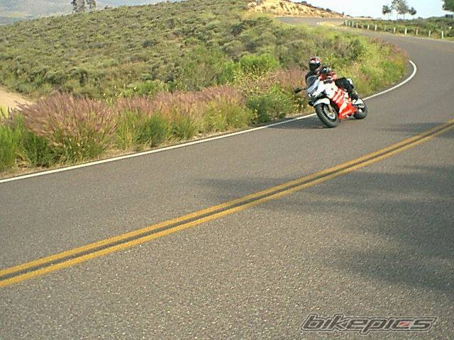 Photo 2274