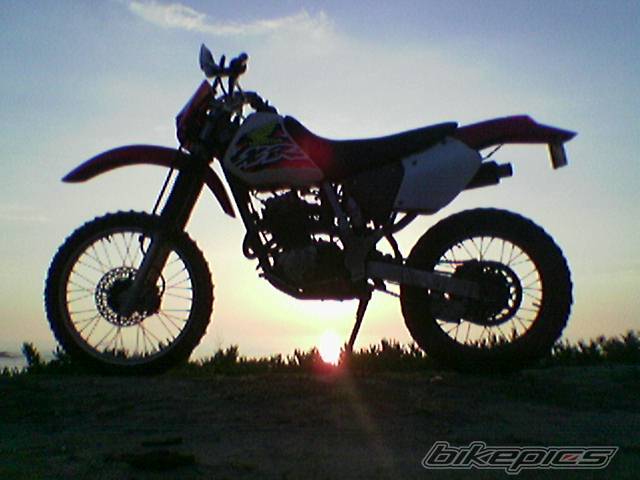 Bike Photo 227402