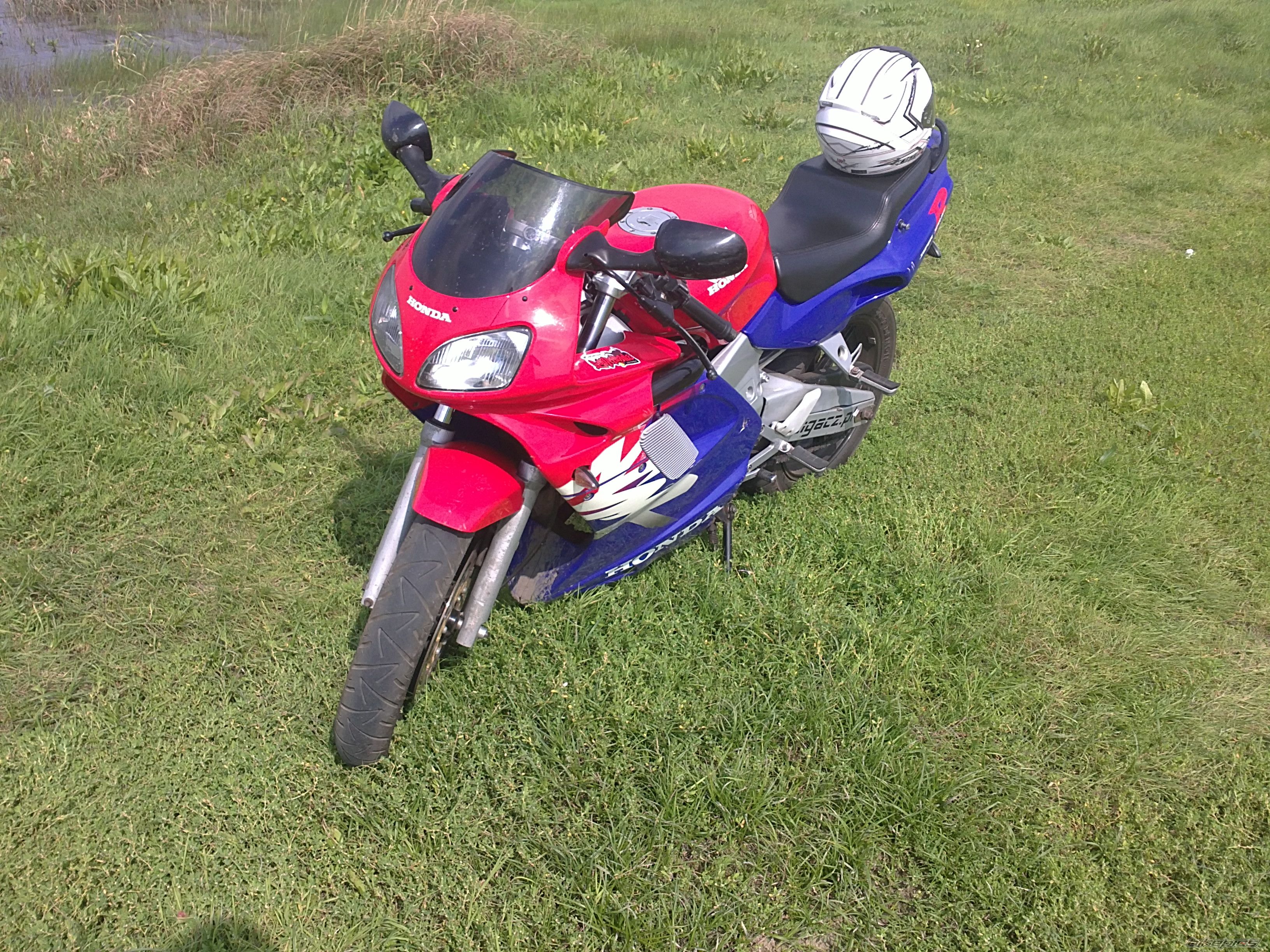 Photo 2274021