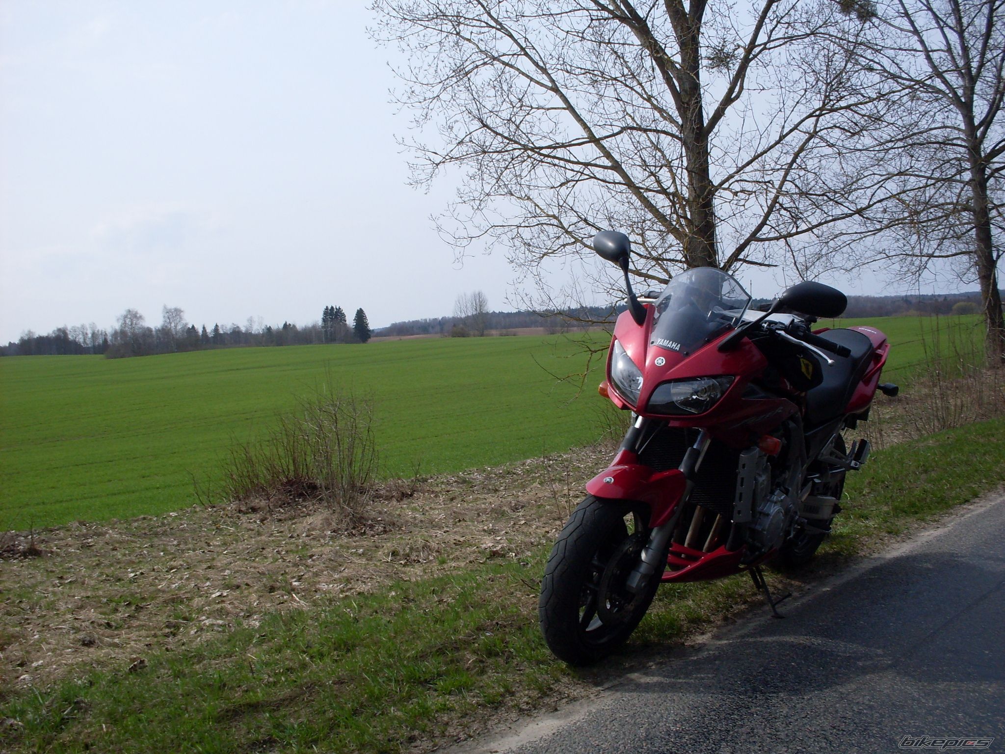 Photo 2274076