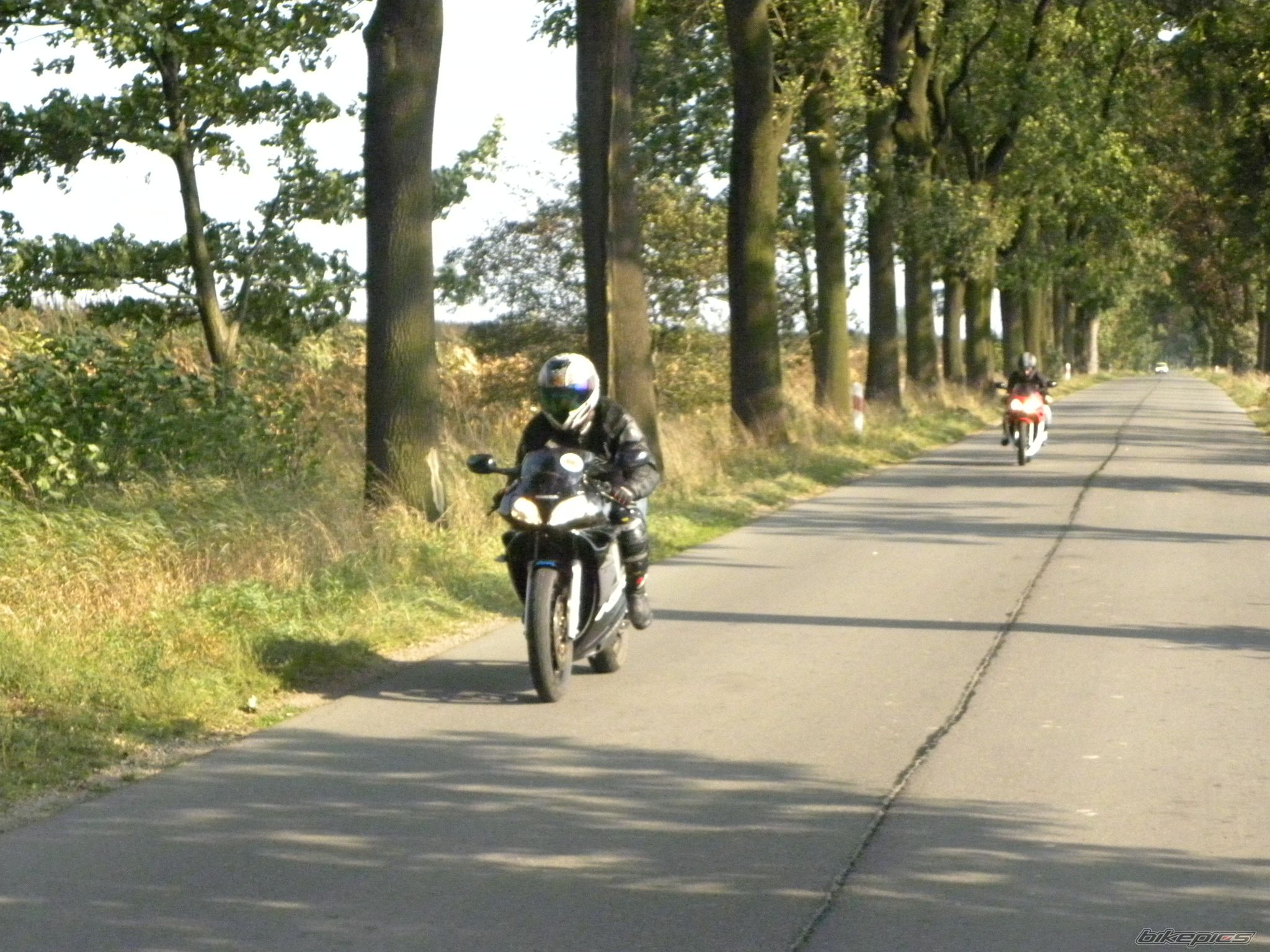 Photo 2274322