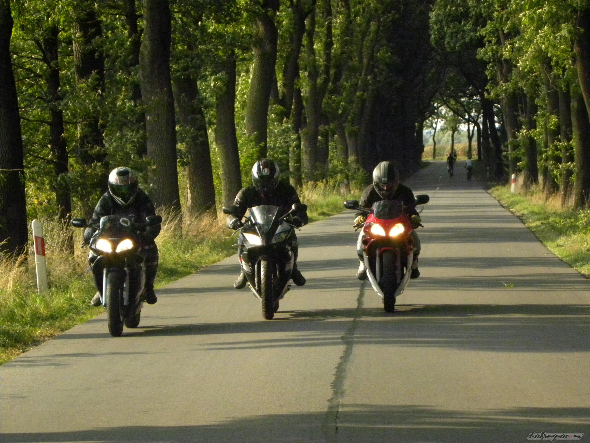 Photo 2274325