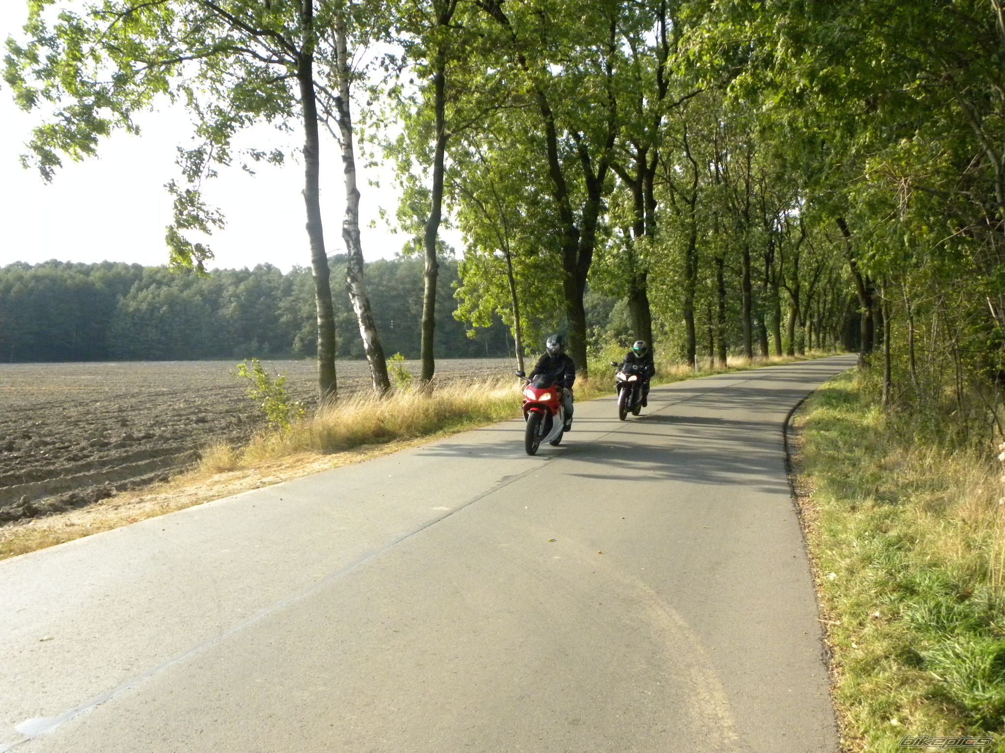 Photo 2274327