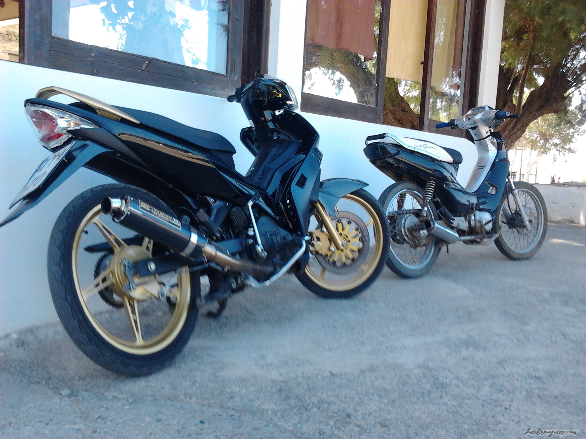 Photo 2274336