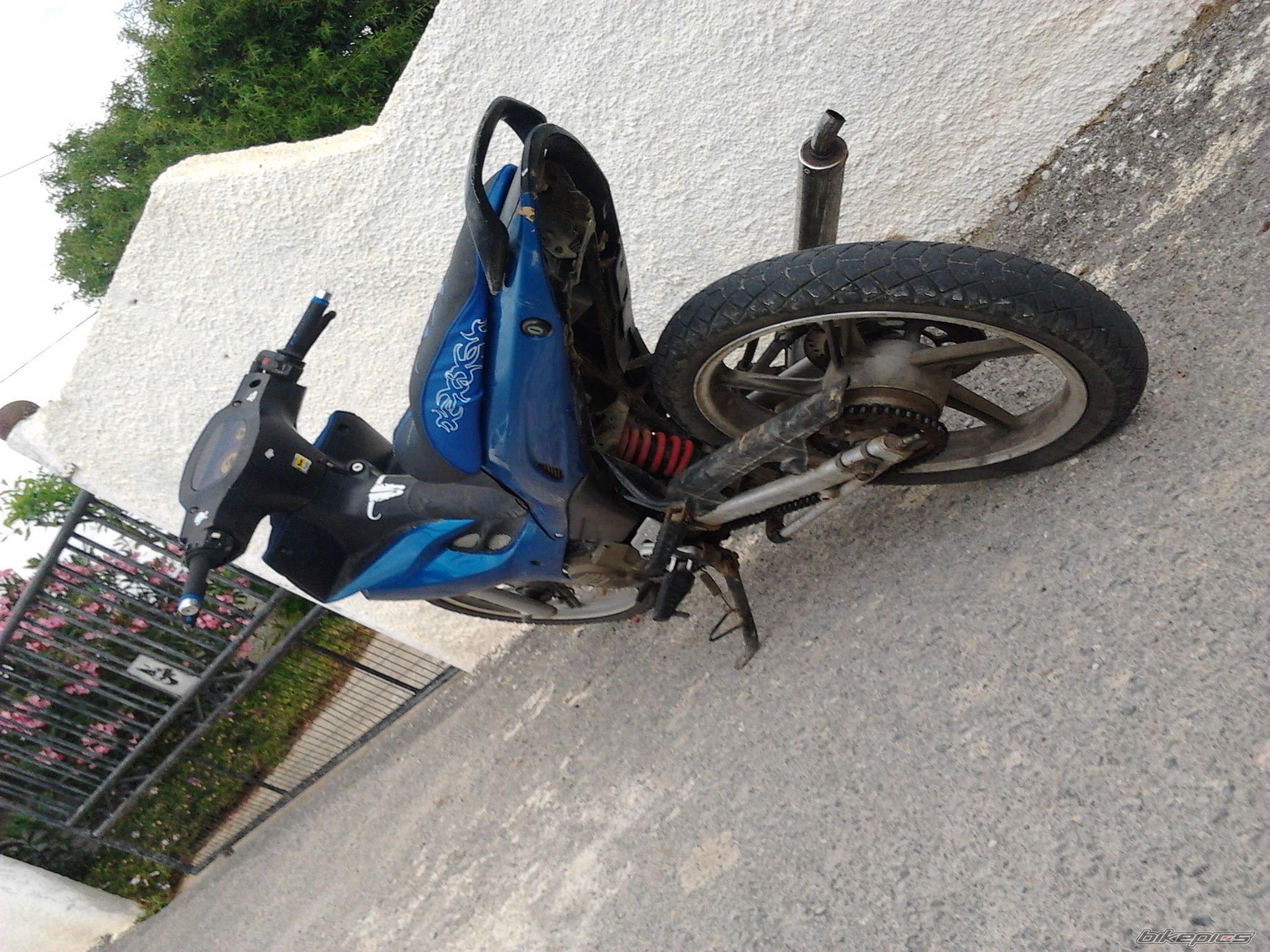 Photo 2274364