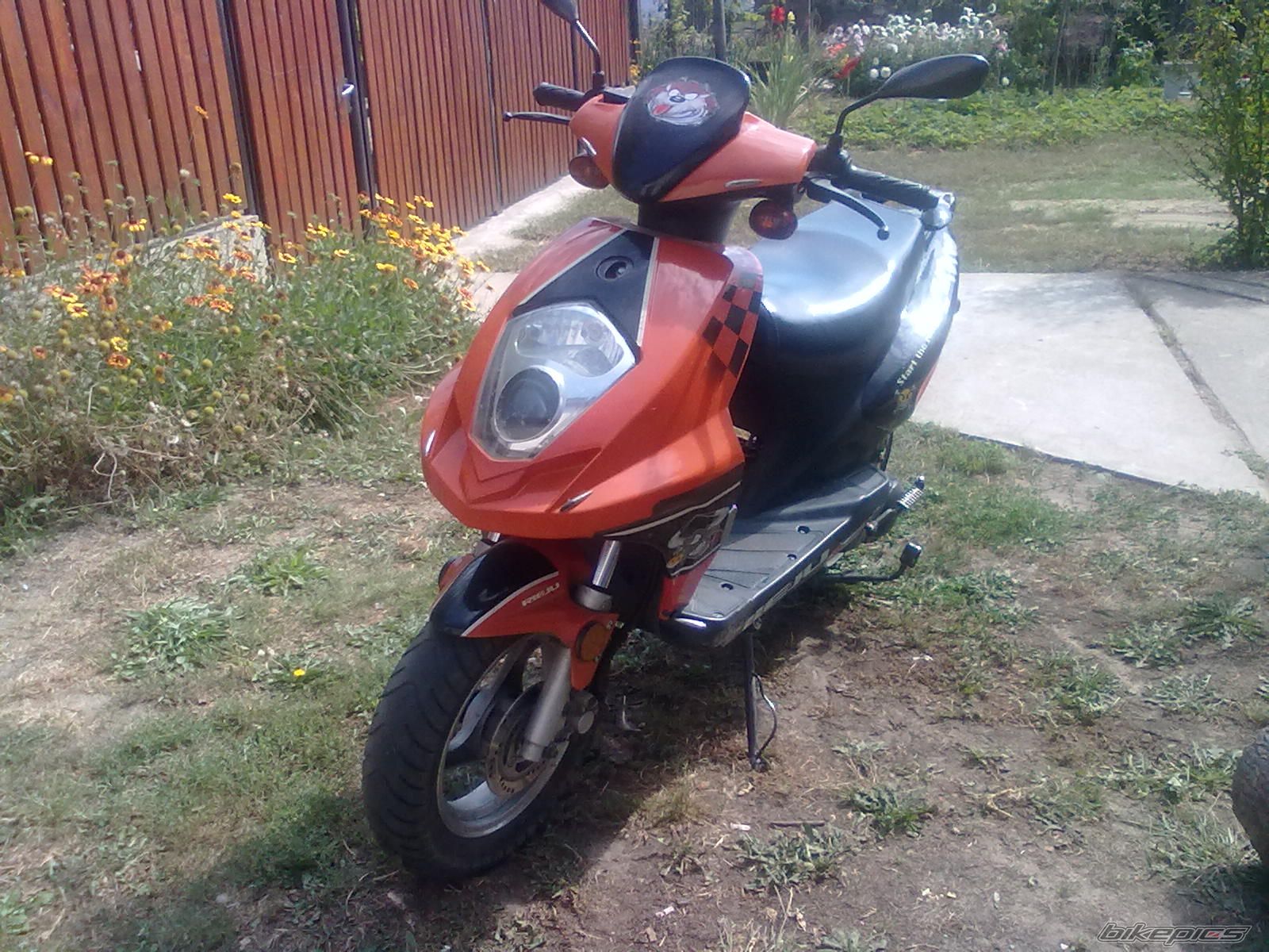 Photo 2274444