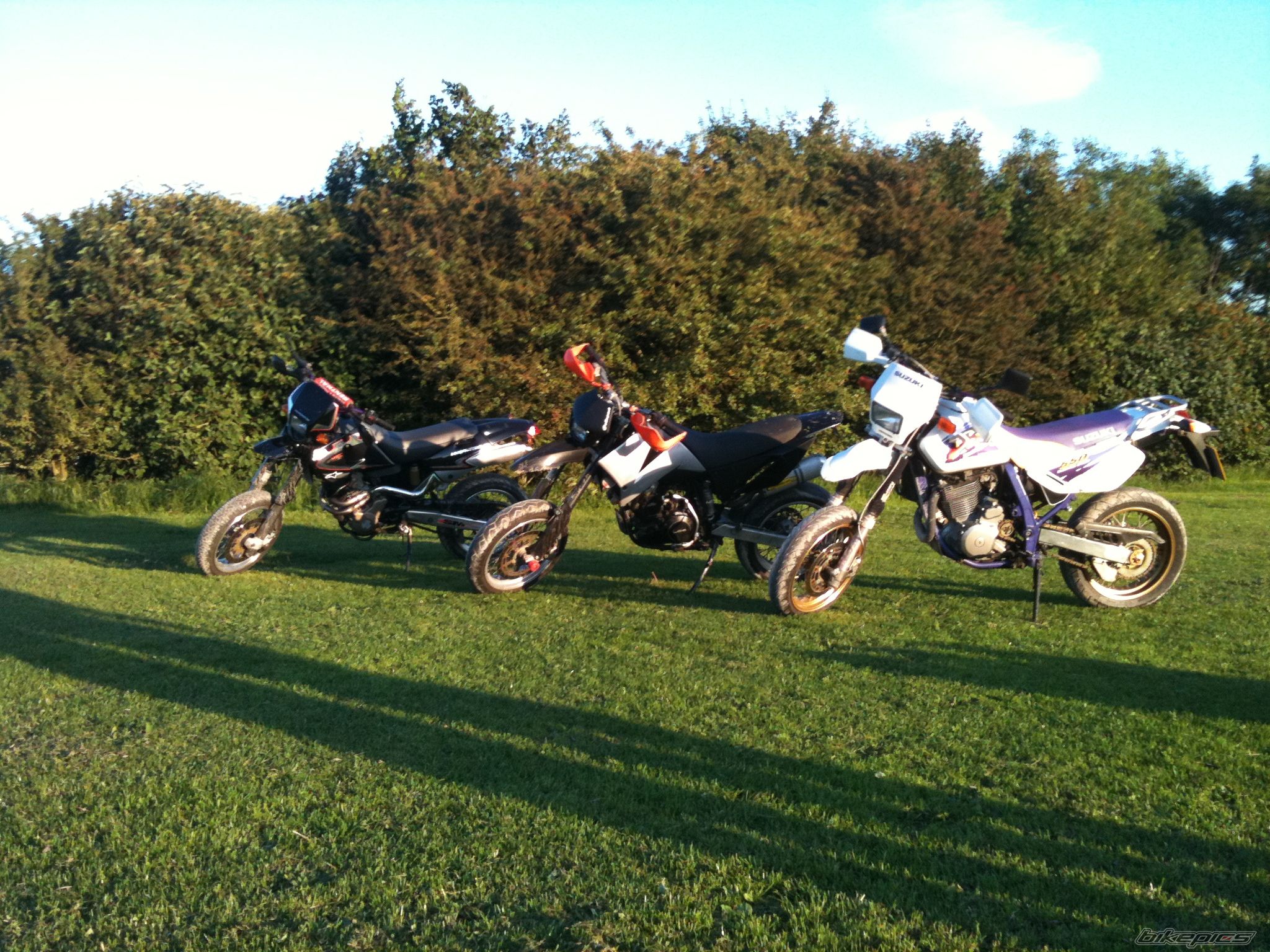 Photo 2274450