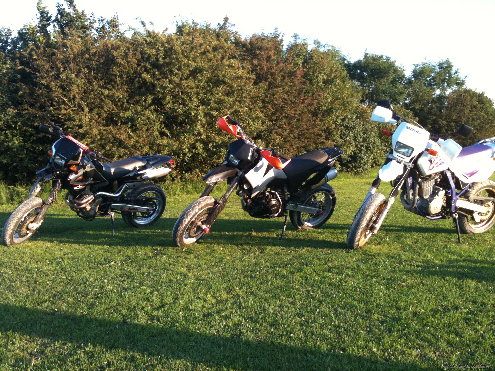 Photo 2274451