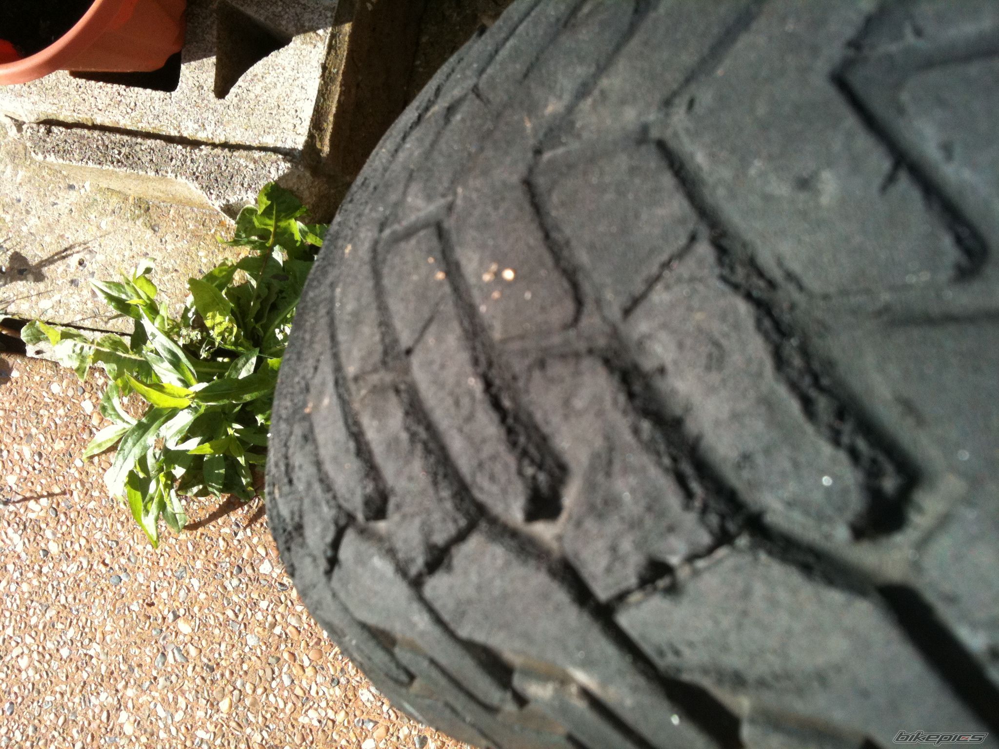 Photo 2274468