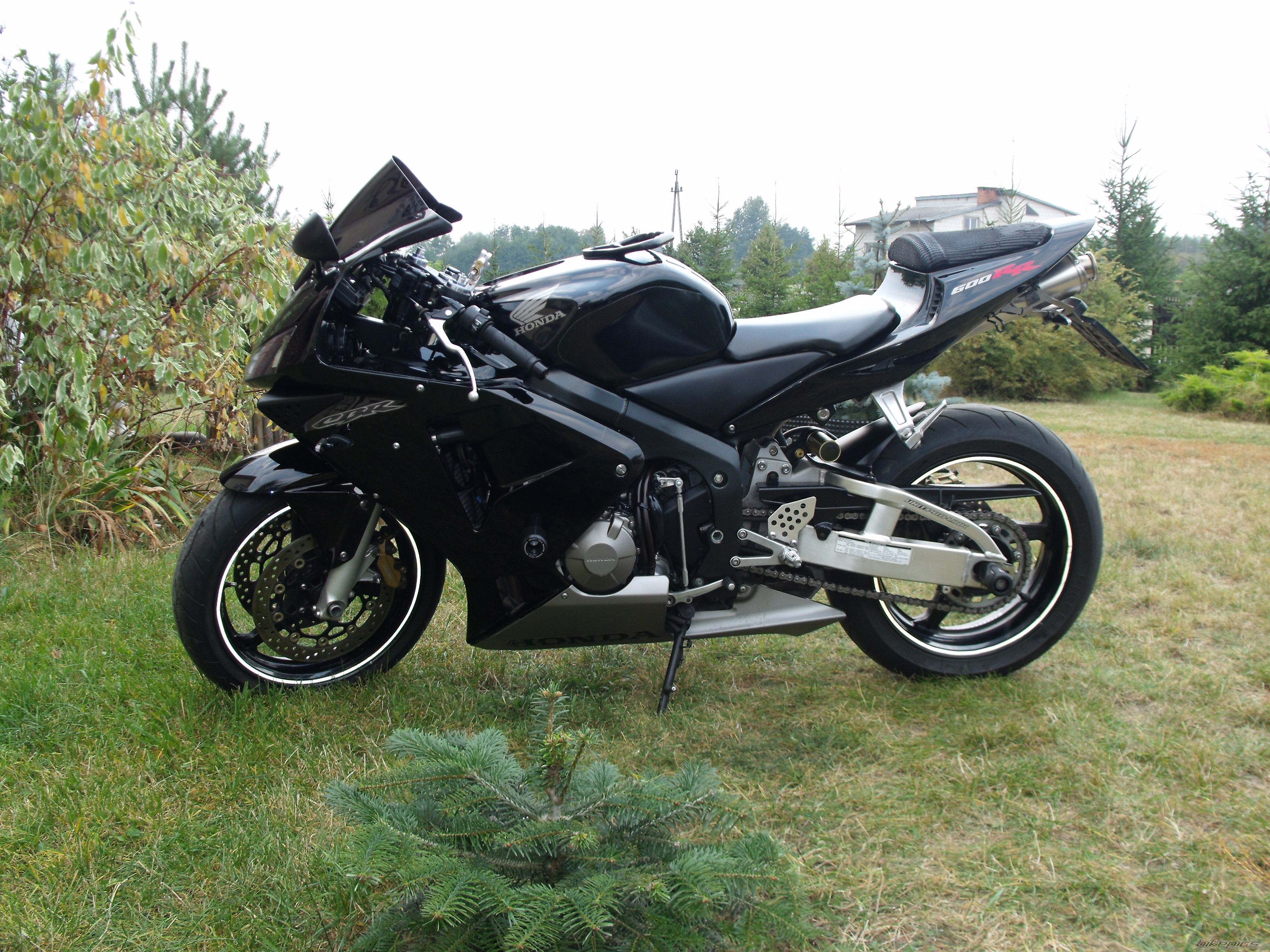 Photo 2274512