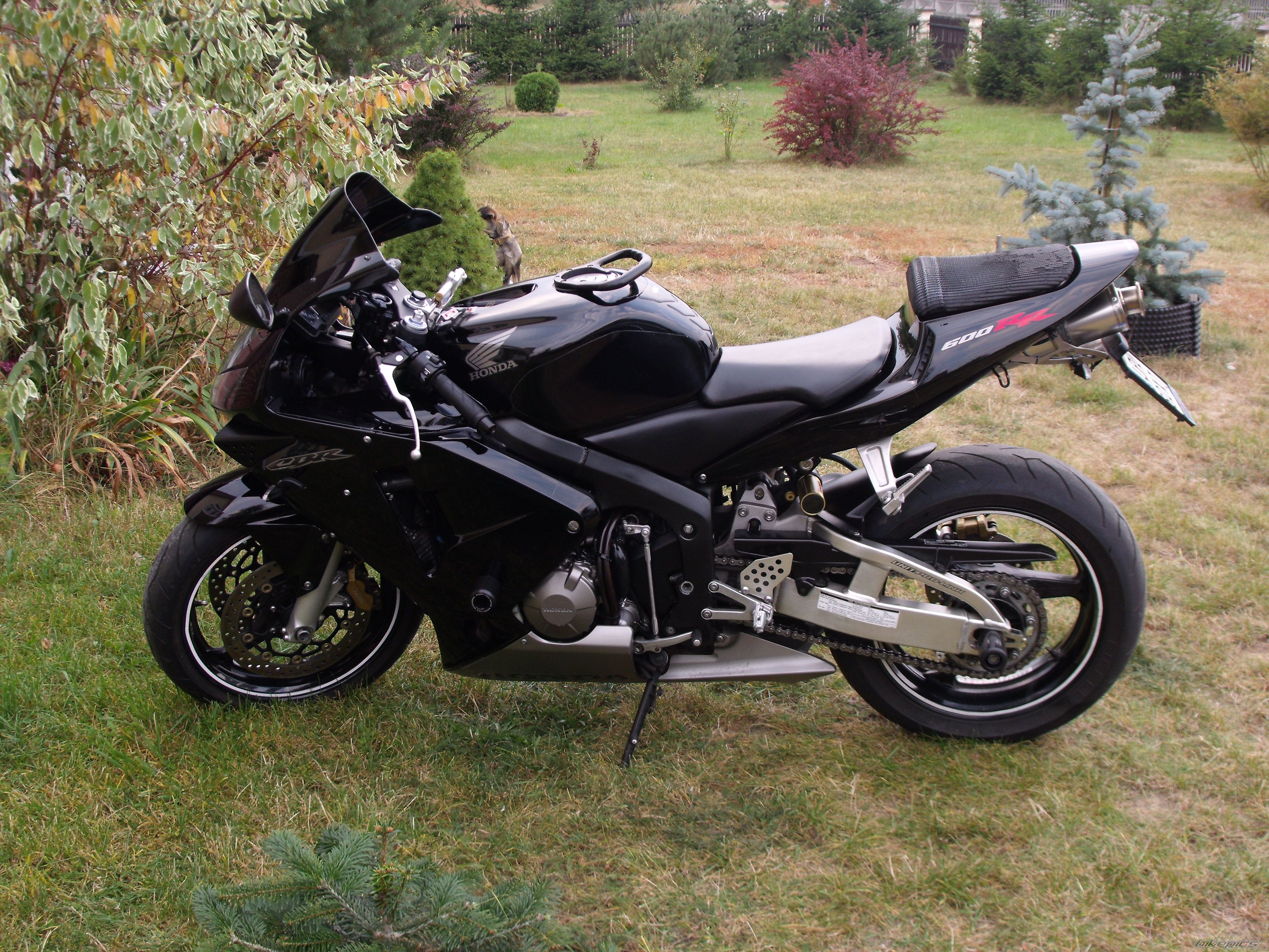 Photo 2274515