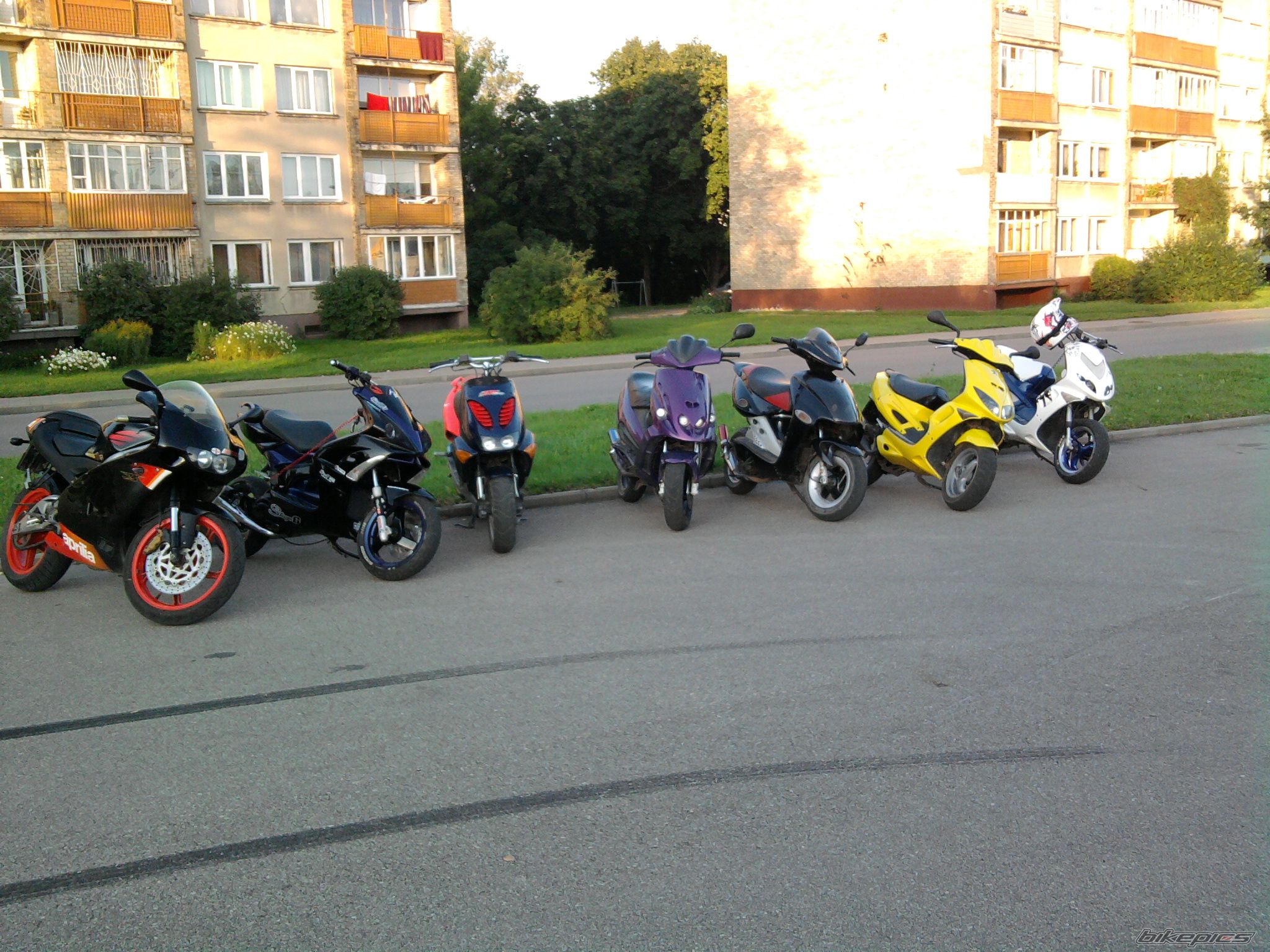 Photo 2274587