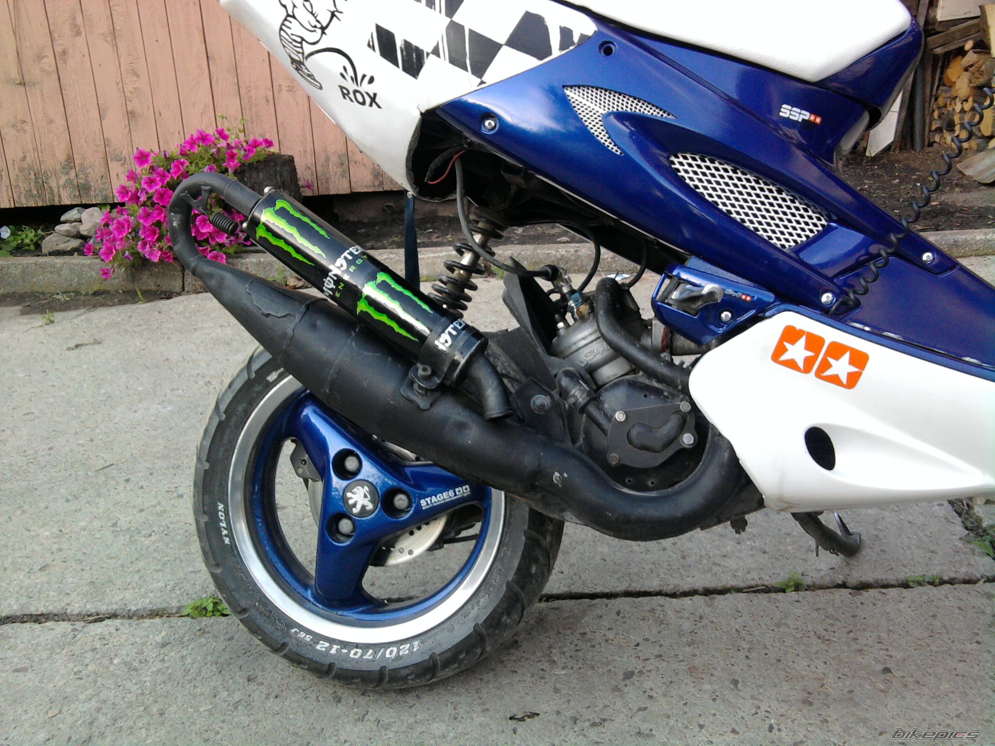 Photo 2274593
