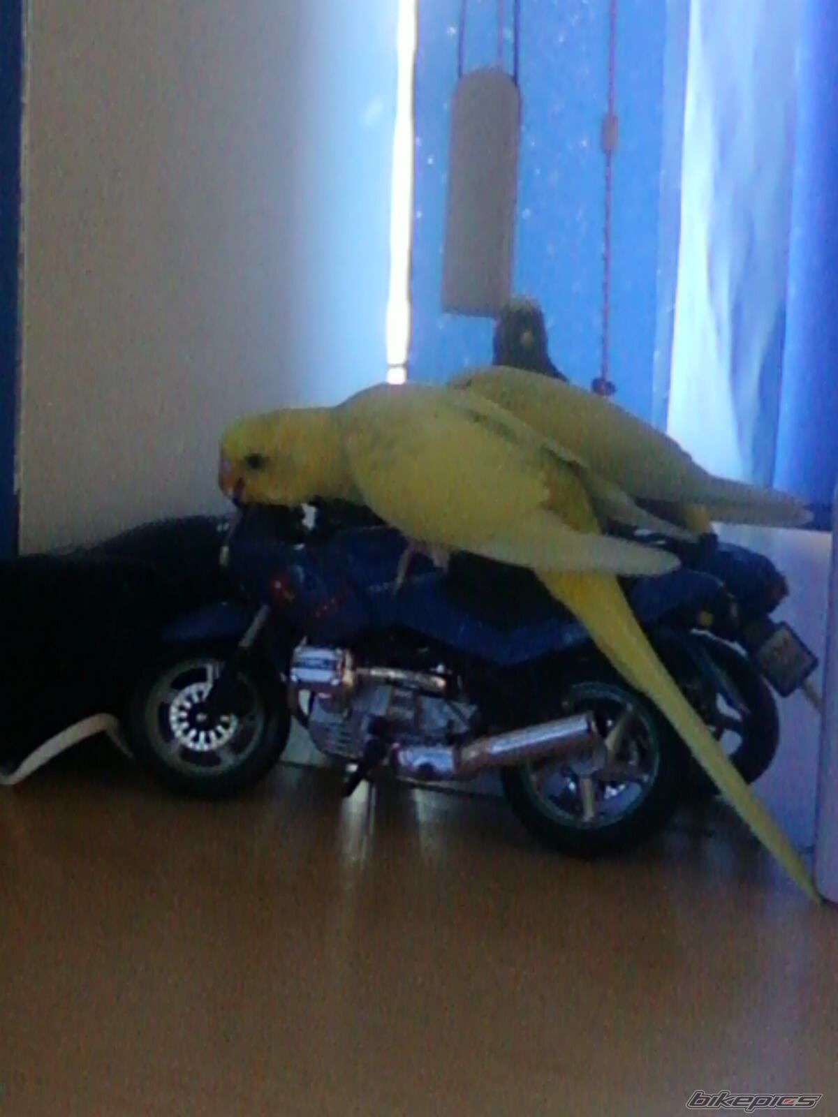 Photo 2274782