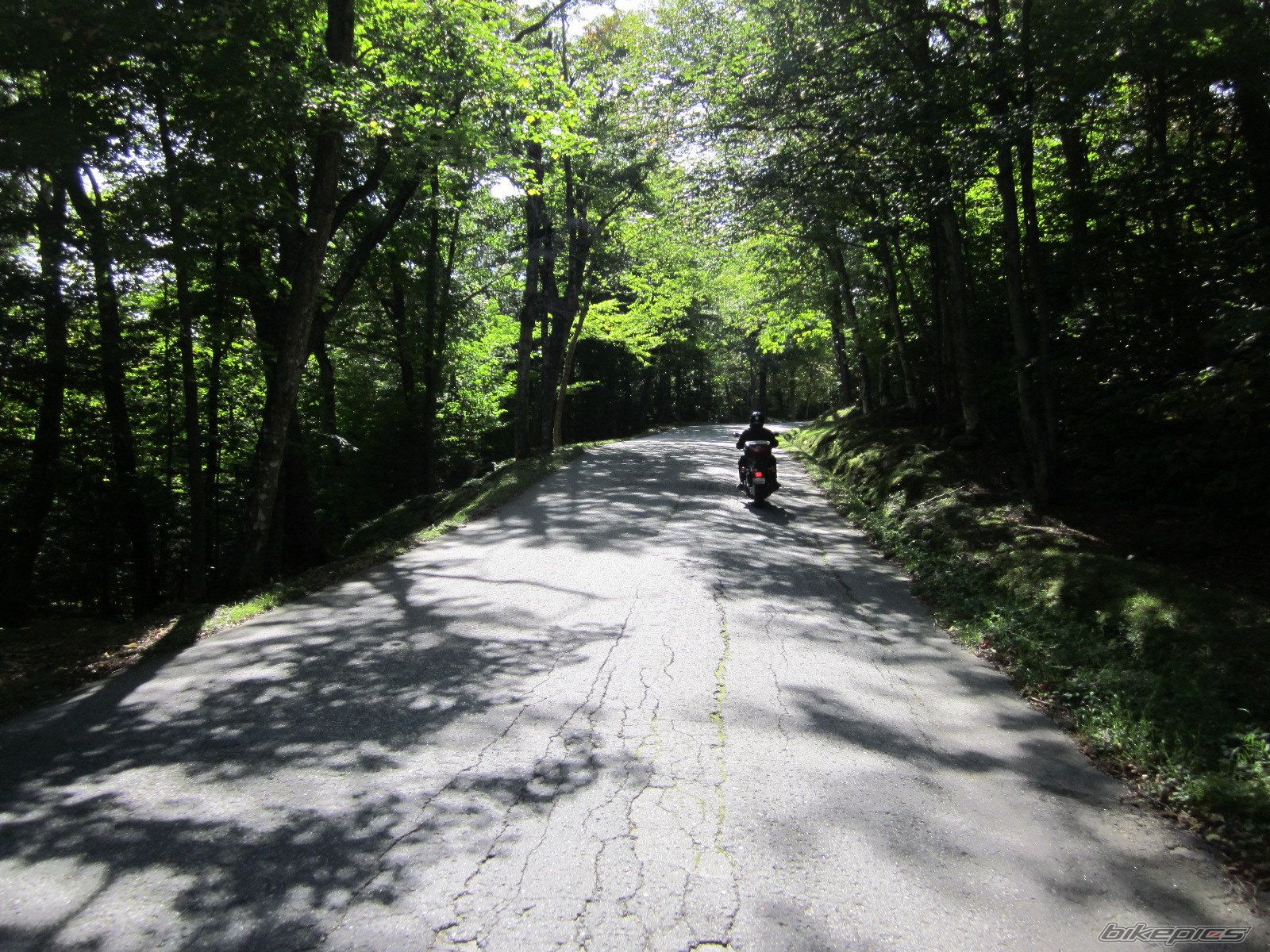 Bike Photo 2274855