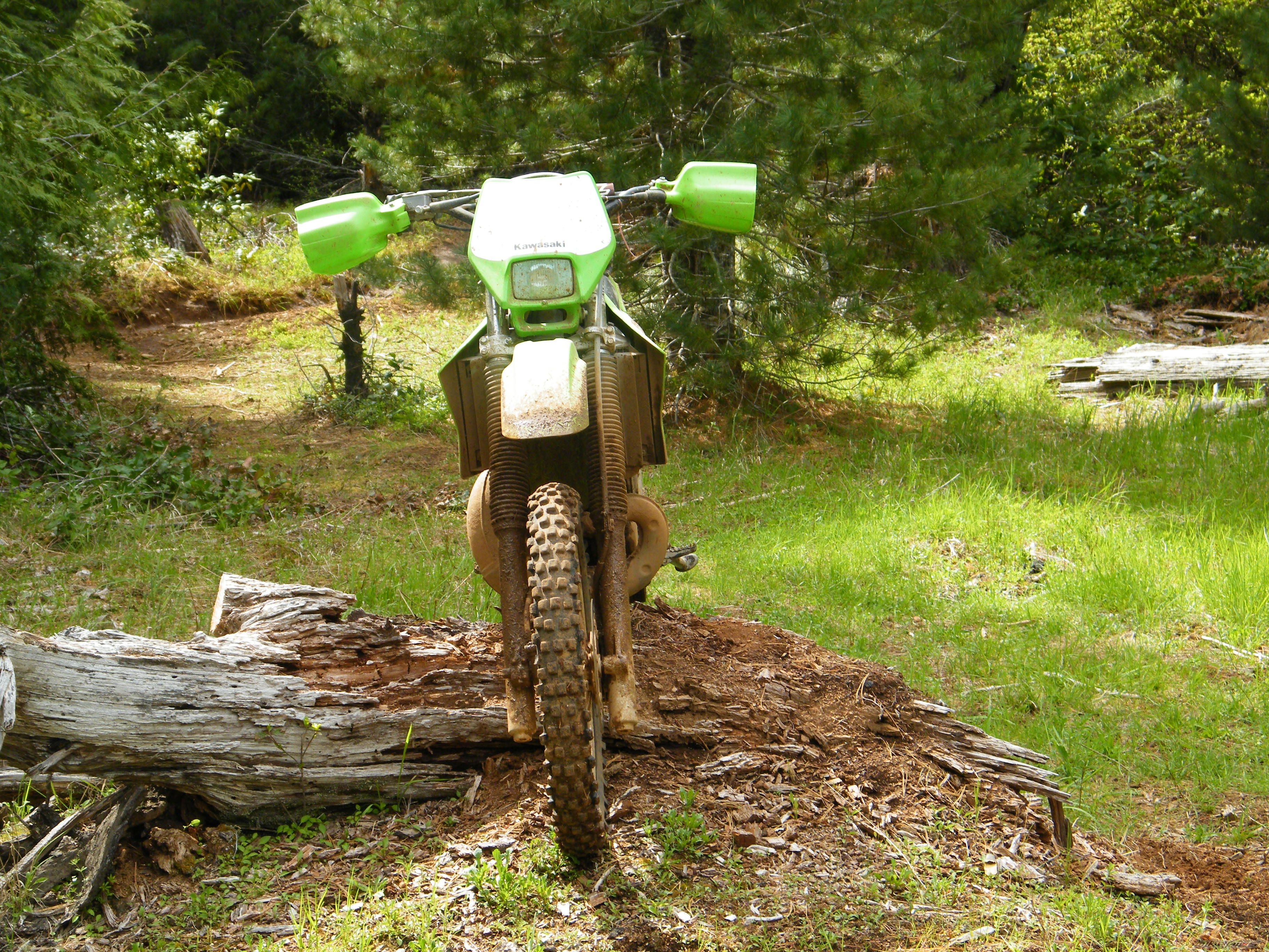 Photo 2274878