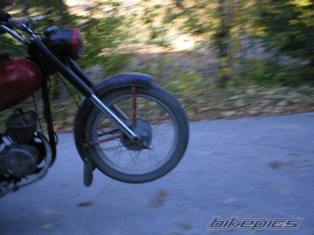 Photo 227498