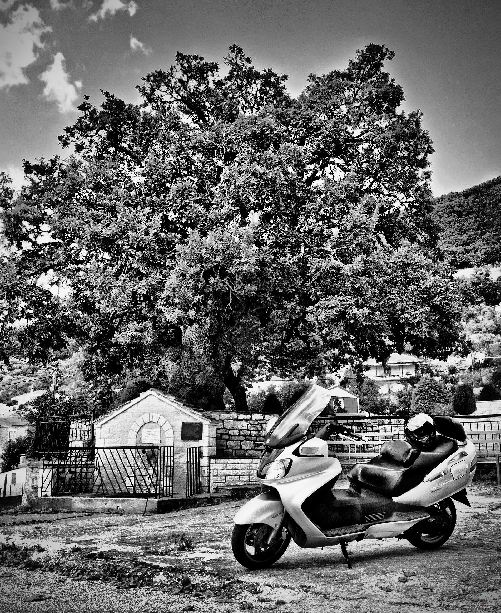 Photo 2274990