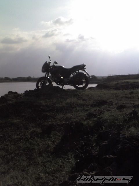 Photo 2275036