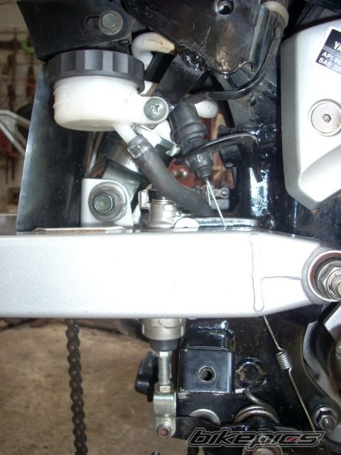 Photo 2275052