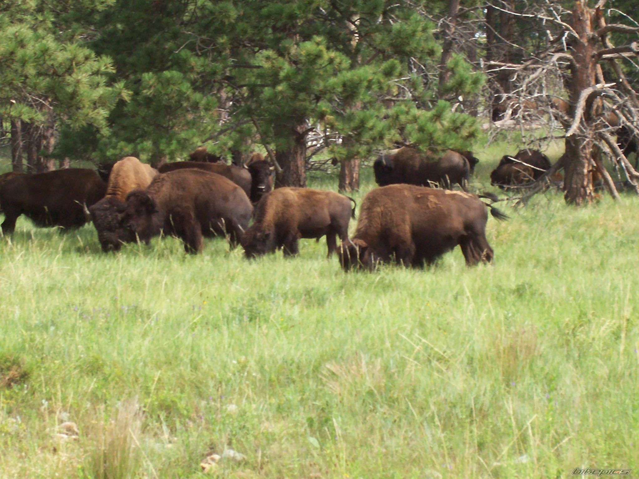 Photo 2275079