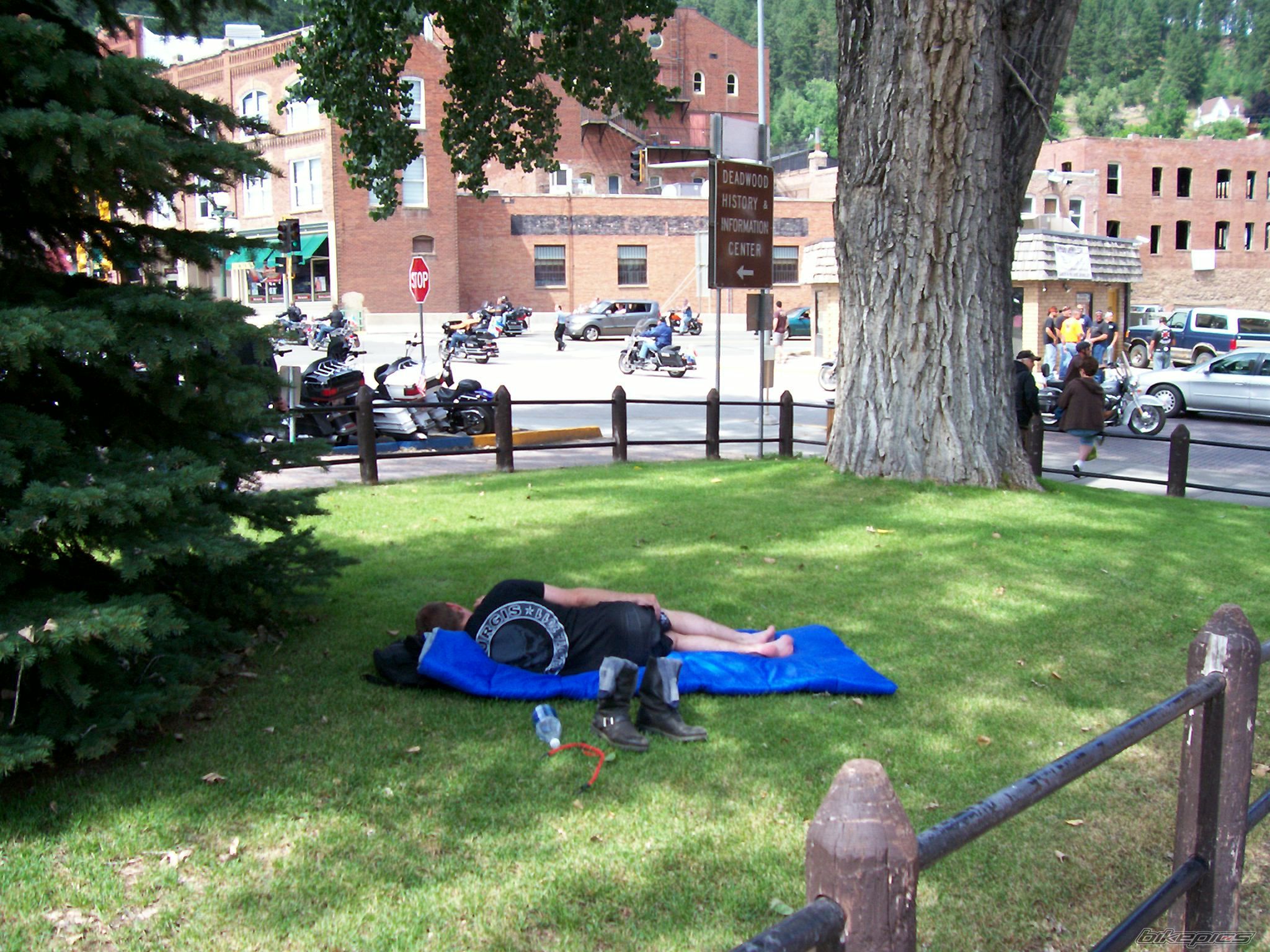 Photo 2275108