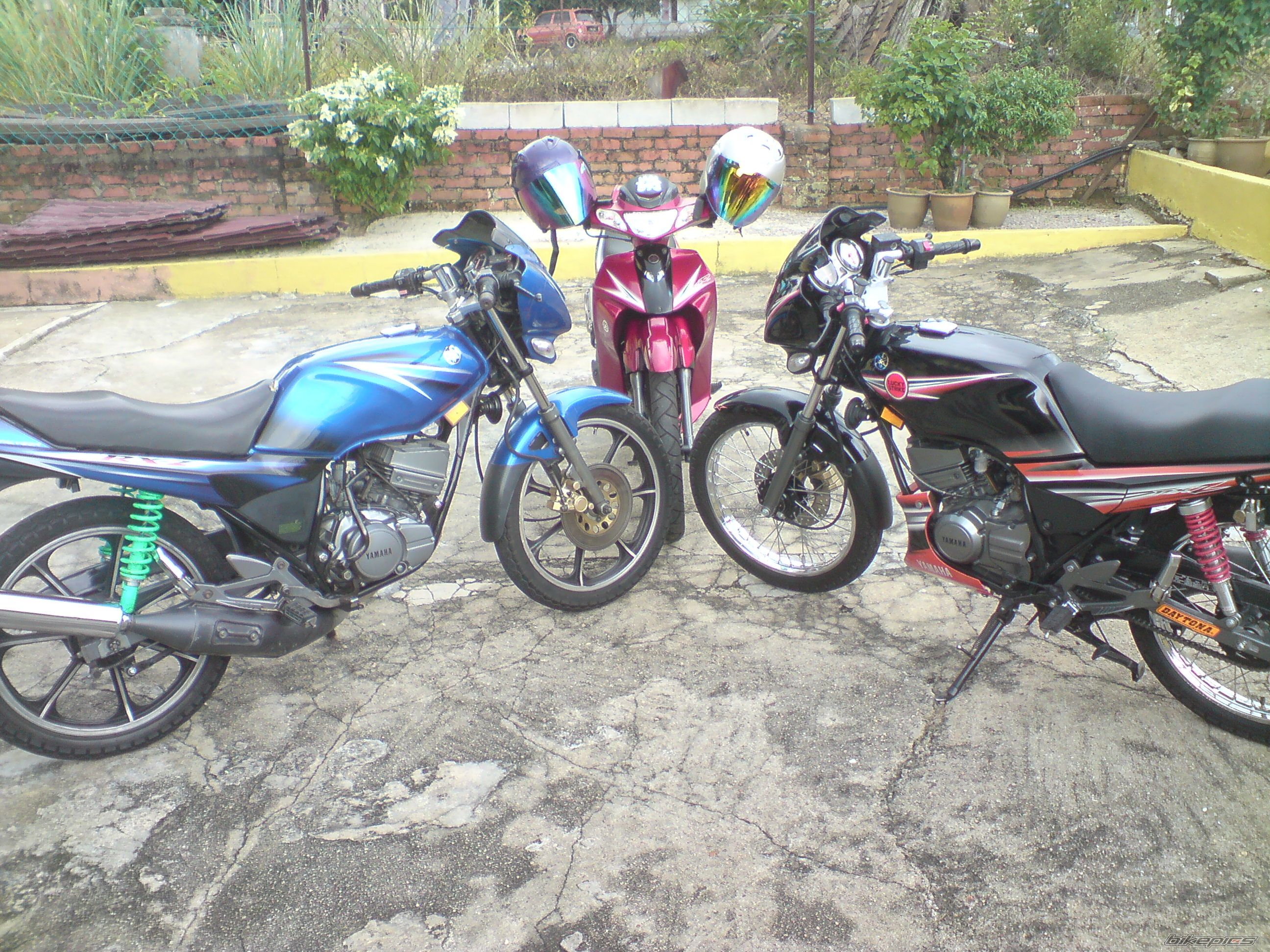 Photo 2275303