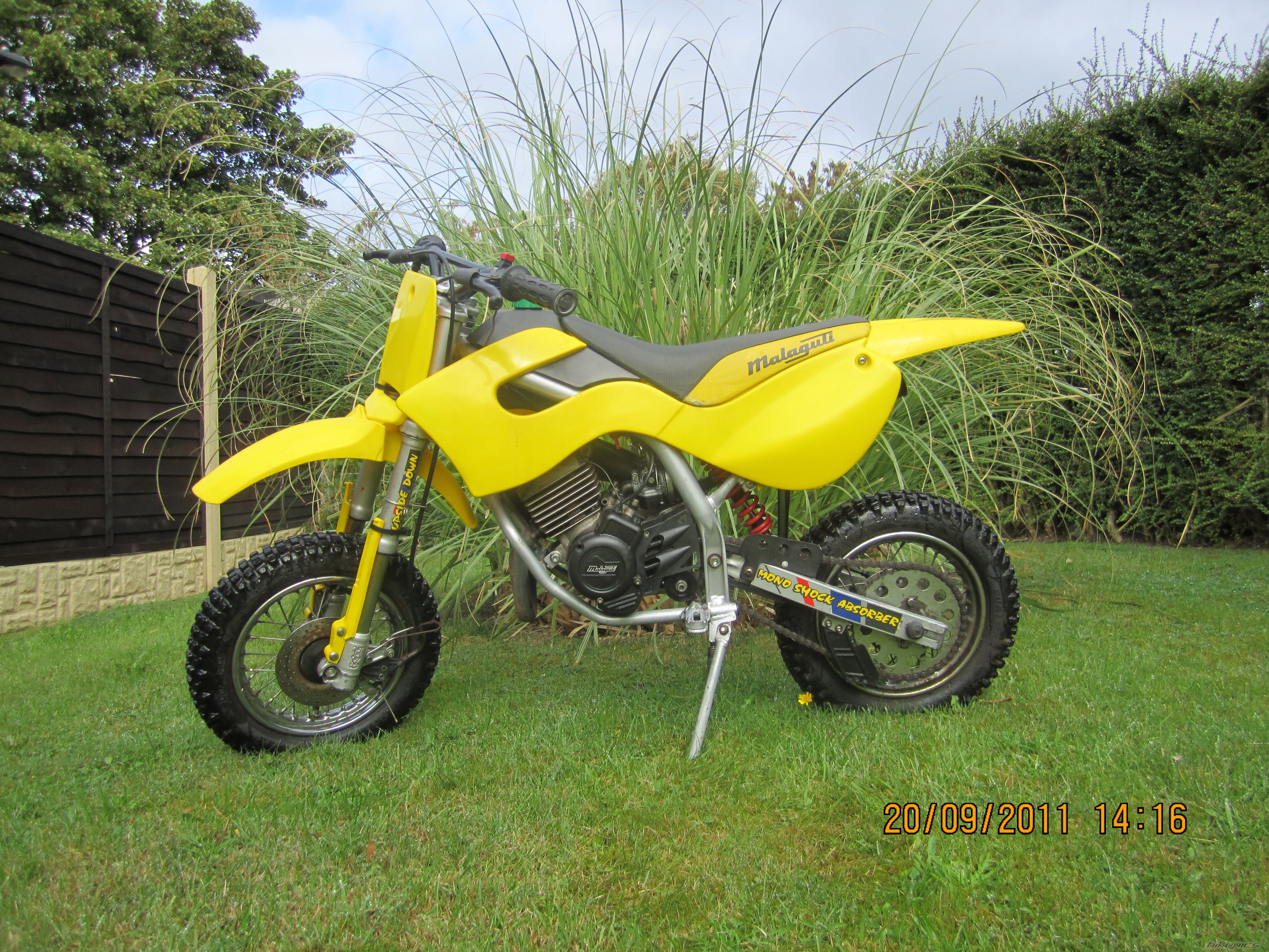 Photo 2275413