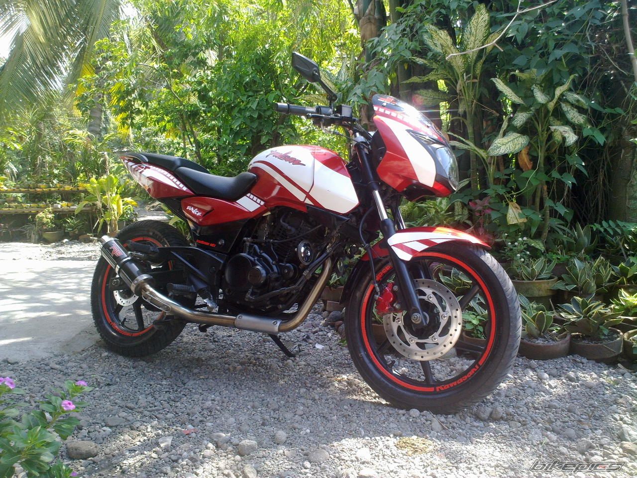 Bike Photo 2275558