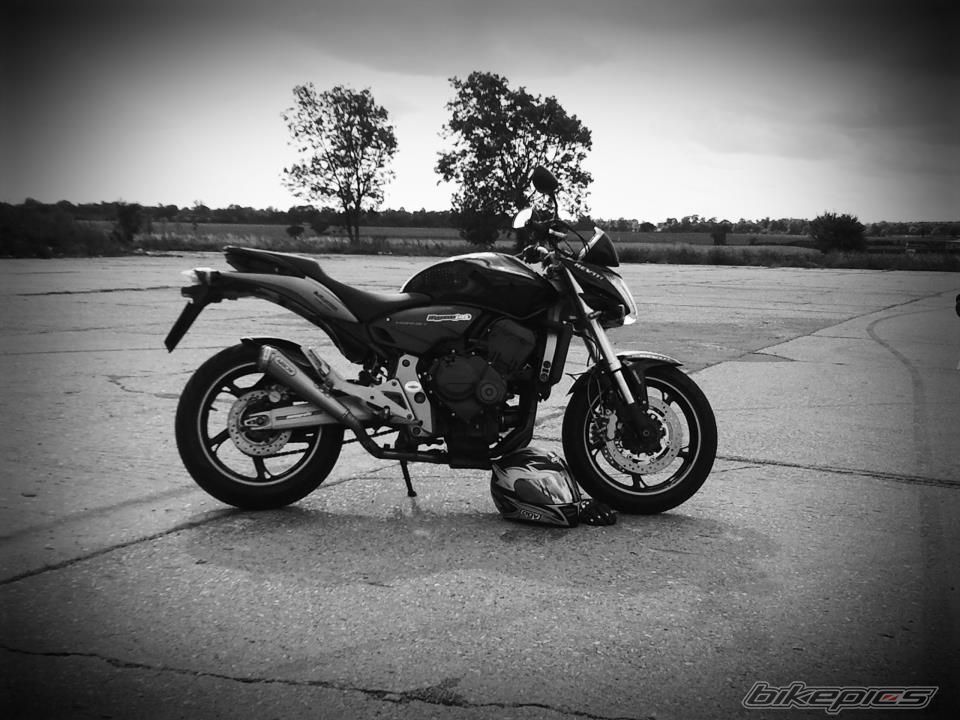 Photo 2275652